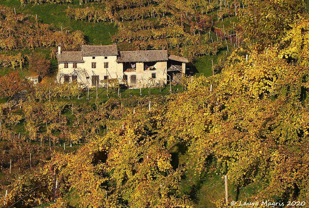 A house in the vineyards