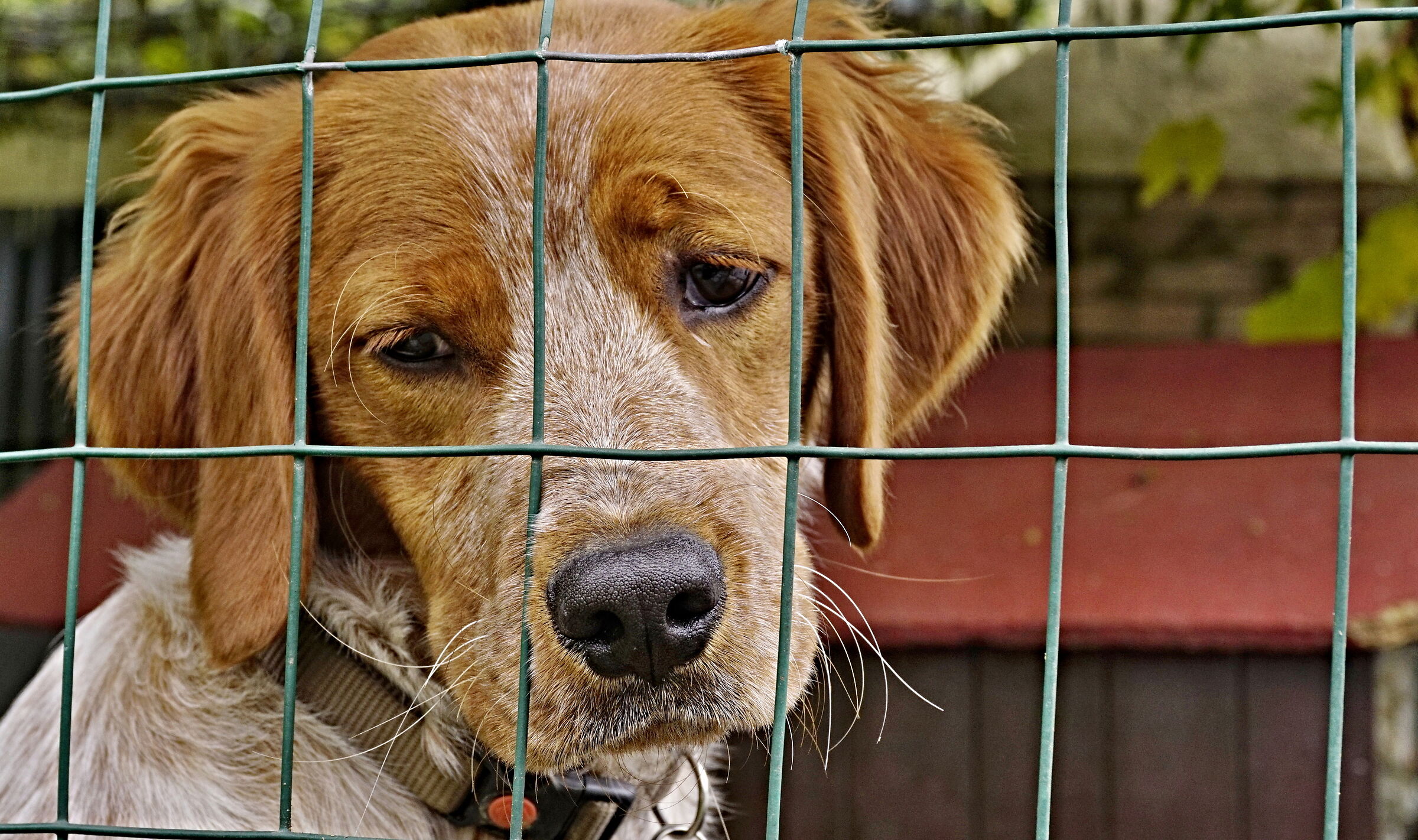 Oggi . . . non è giornata