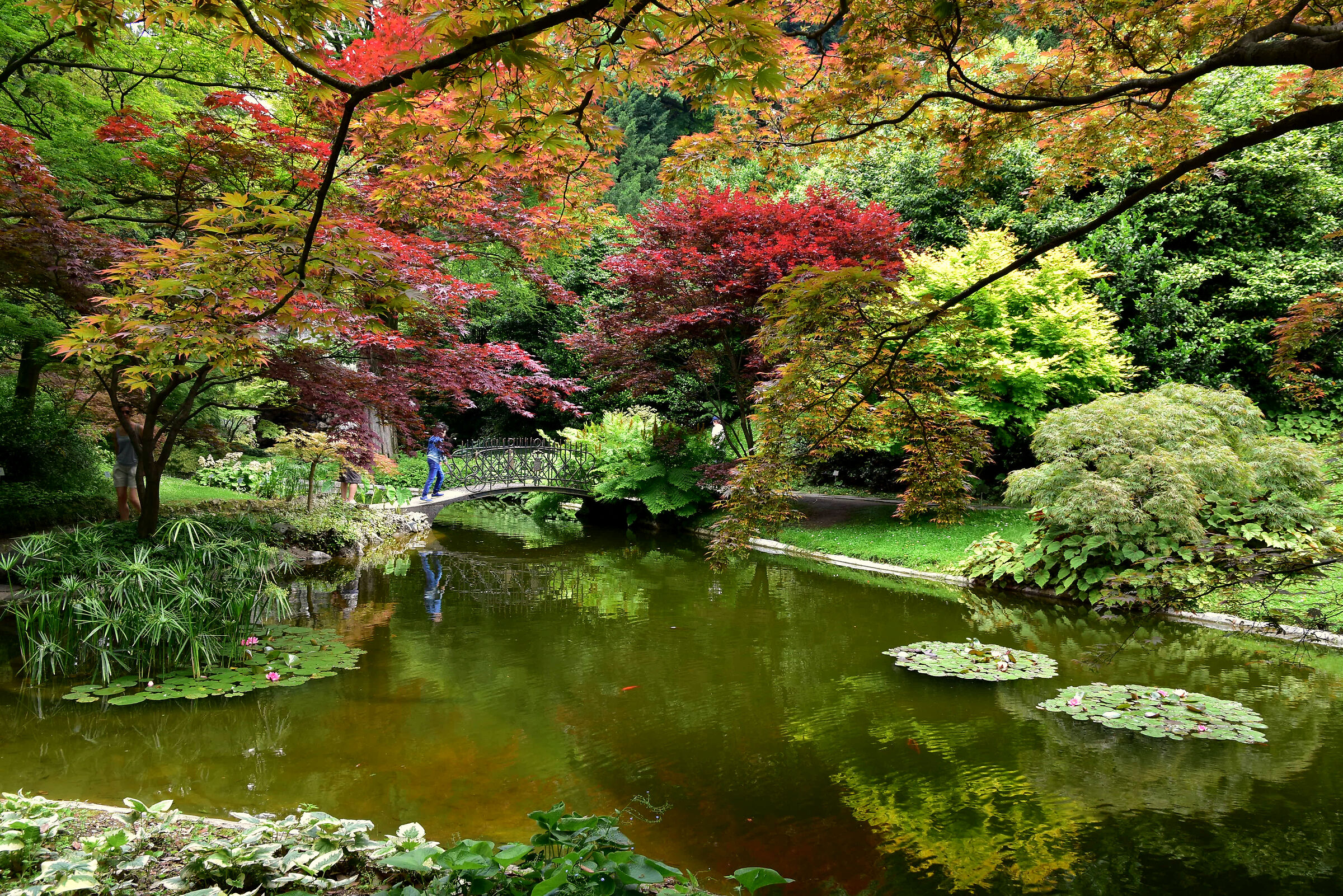 I colori della natura