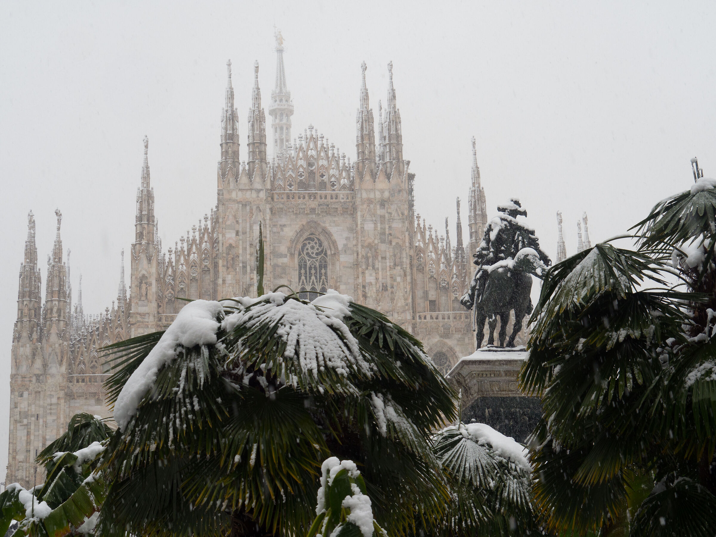 The Snowy Domo