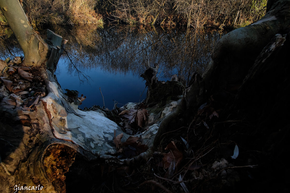 riddle where is the dog and the mouse