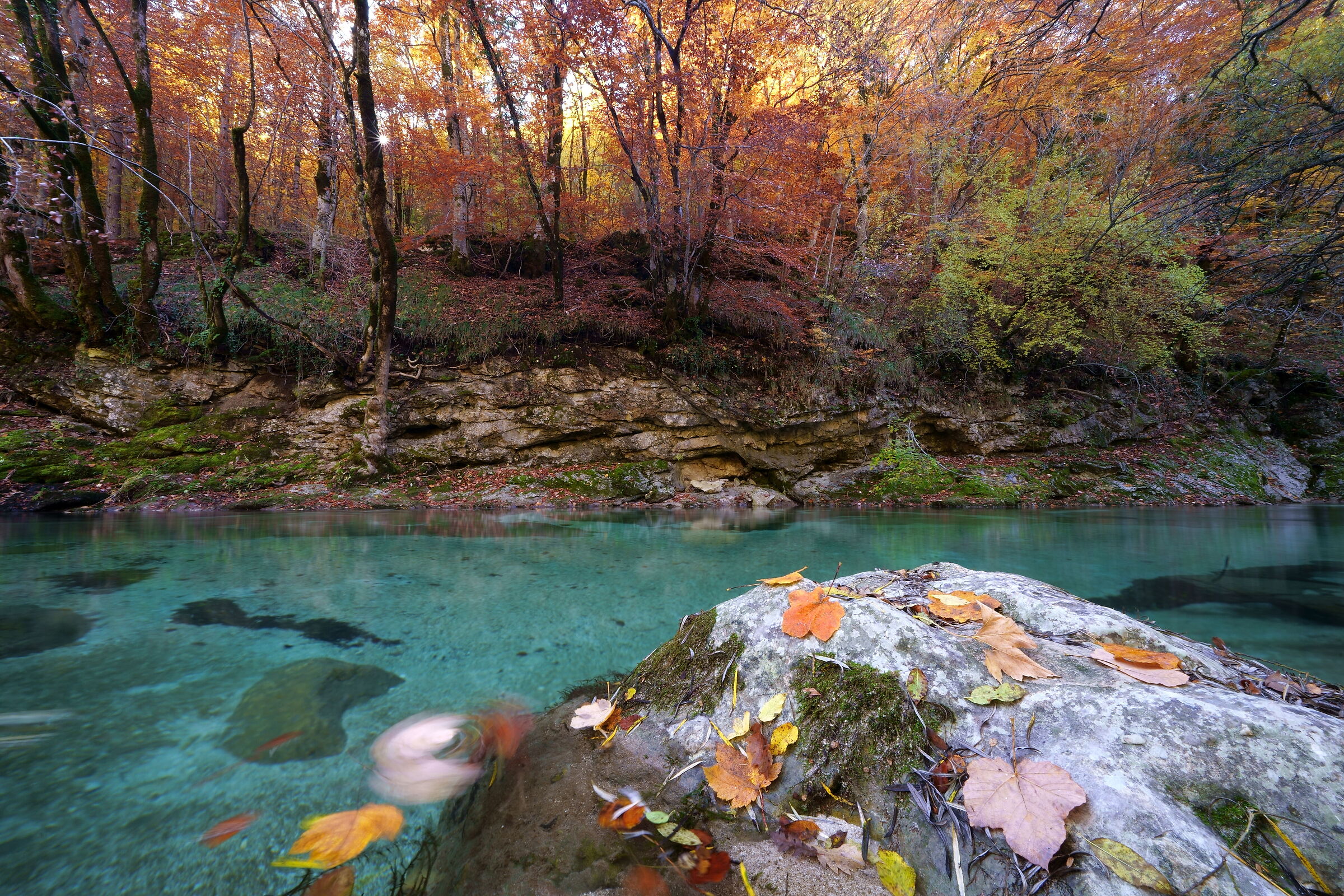 Autumn along the Sangro. Abruzzo N.P.