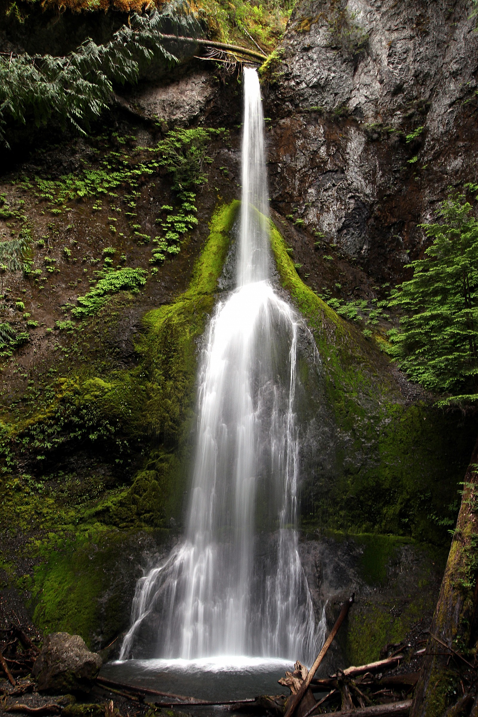 Marymere Falls, washington