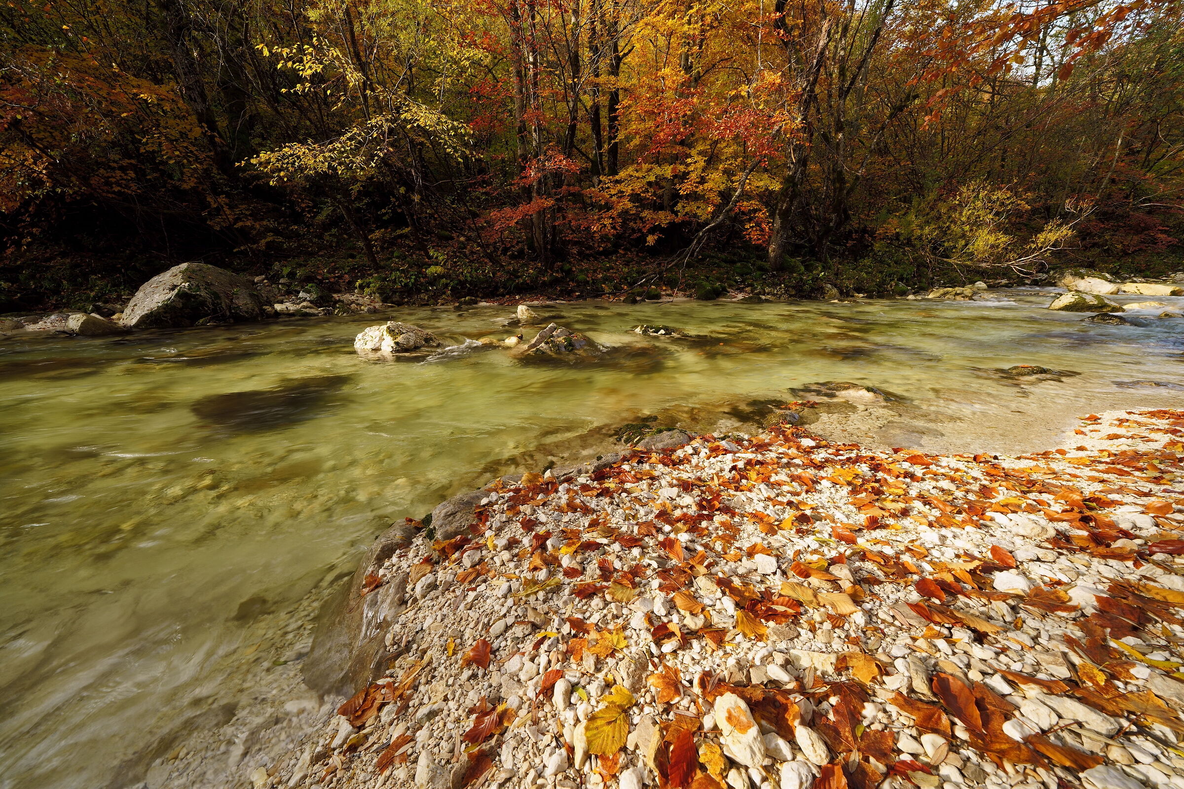 Autumn along the Sangro River