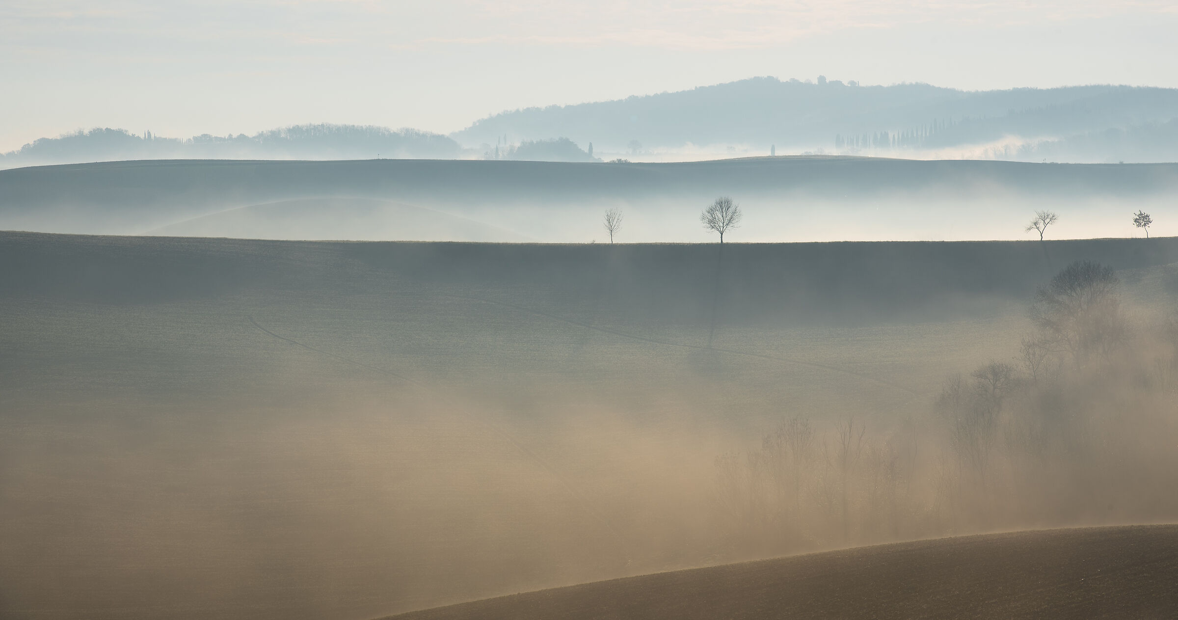 Untitled Photo