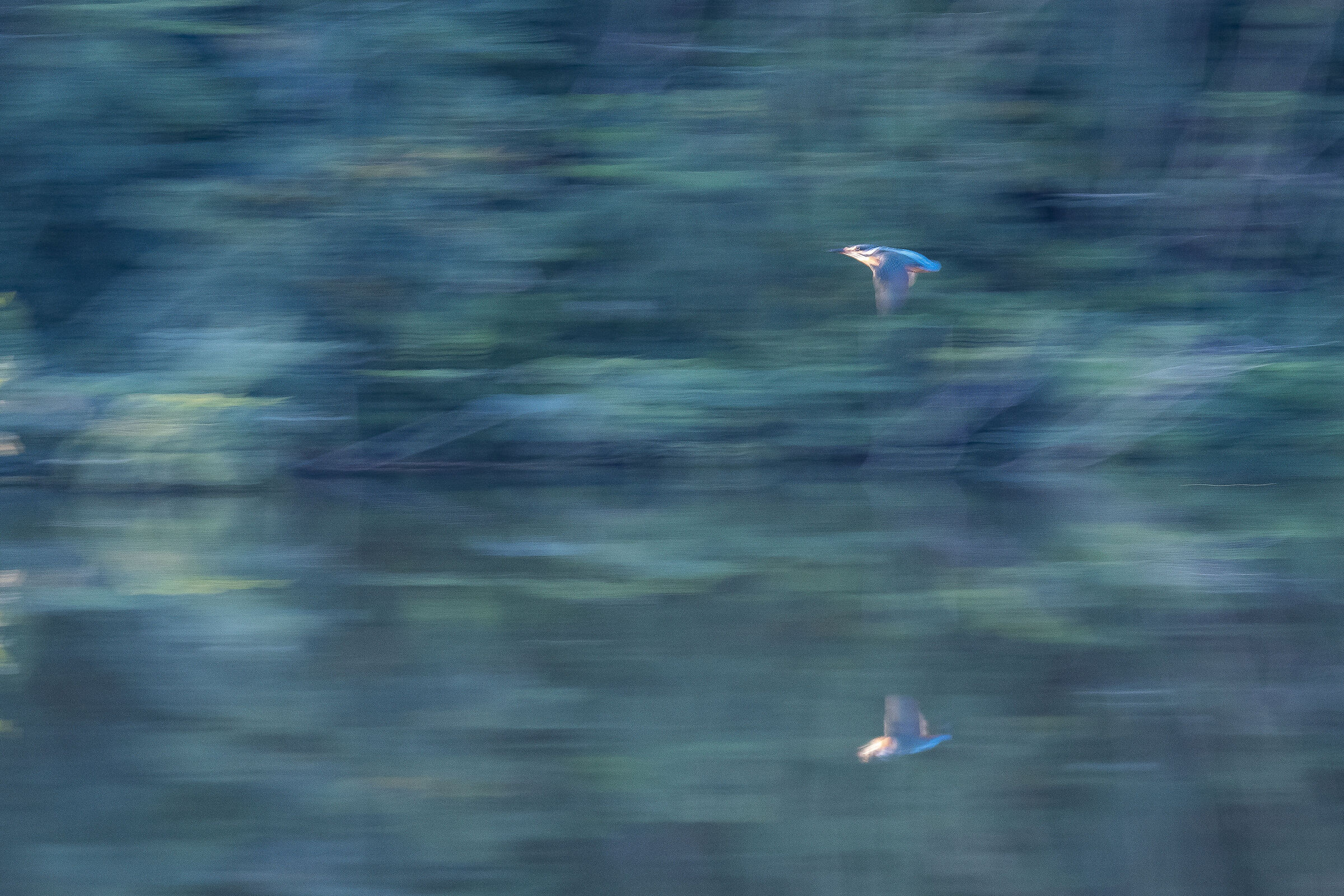 Kingfisher... Impressionist