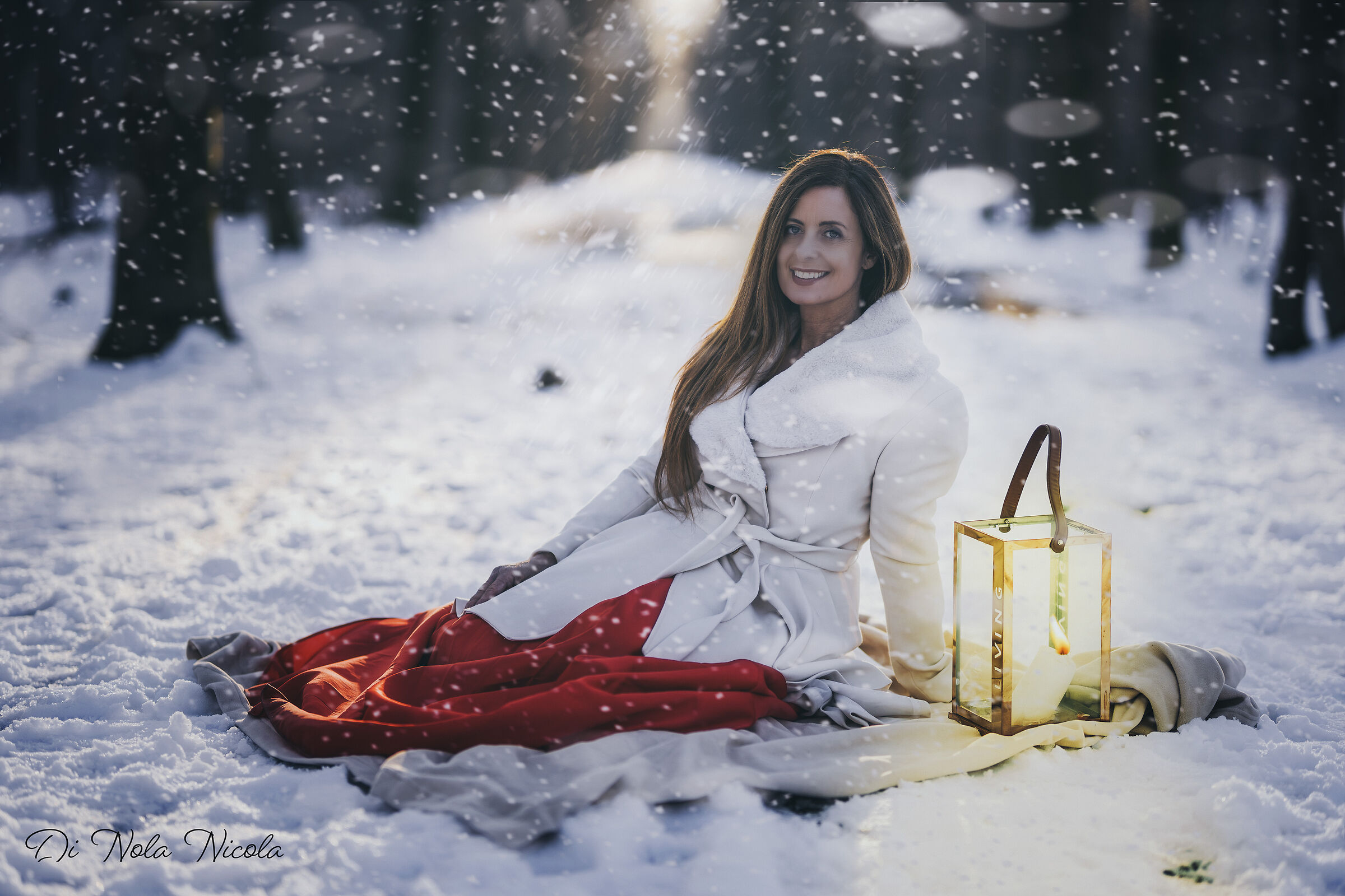 La nevicata di Dicembre