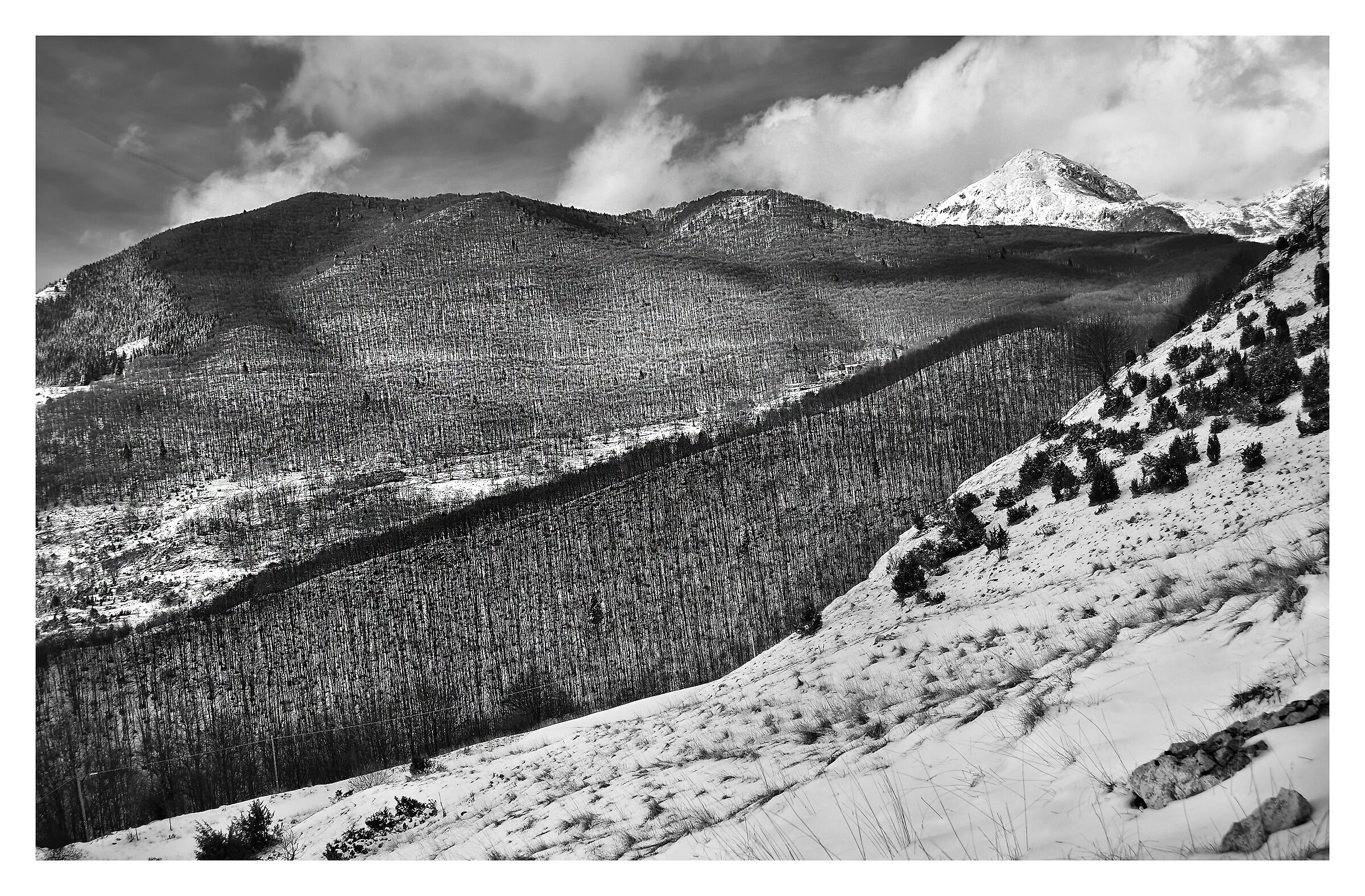 Piancavallo