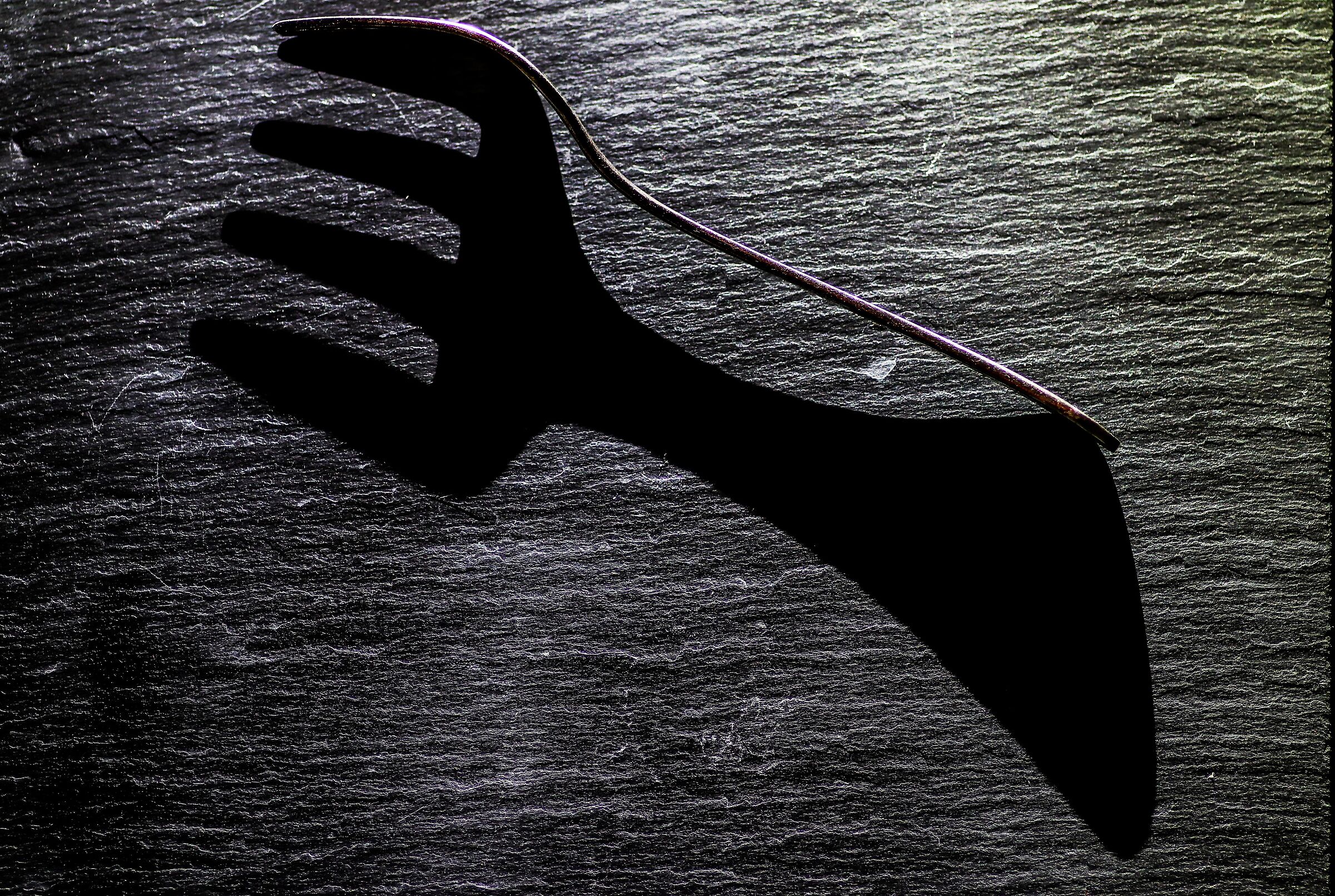 Primi esperimenti di Still Life in box fotografico