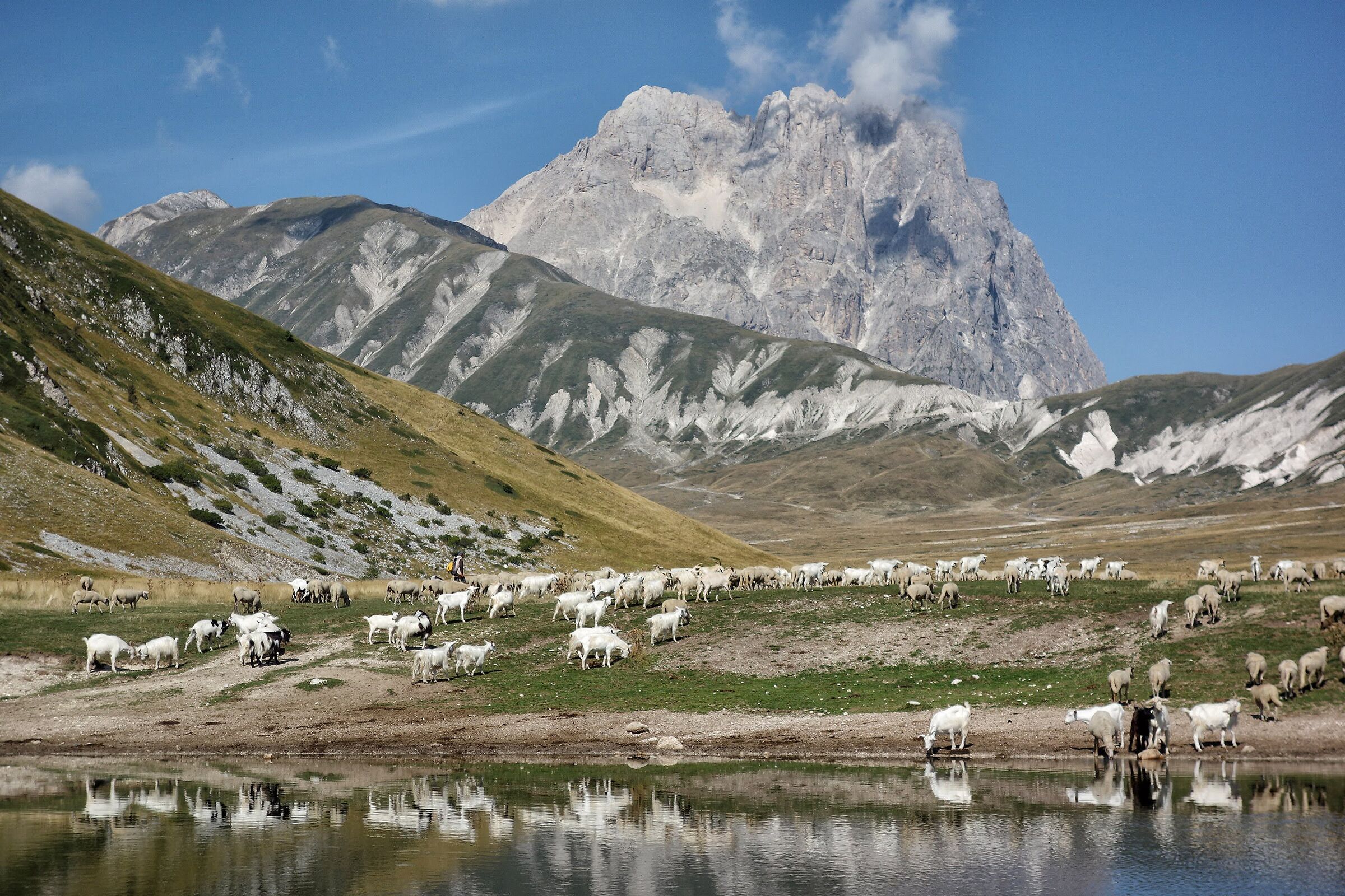 His Majesty... the Great Horn