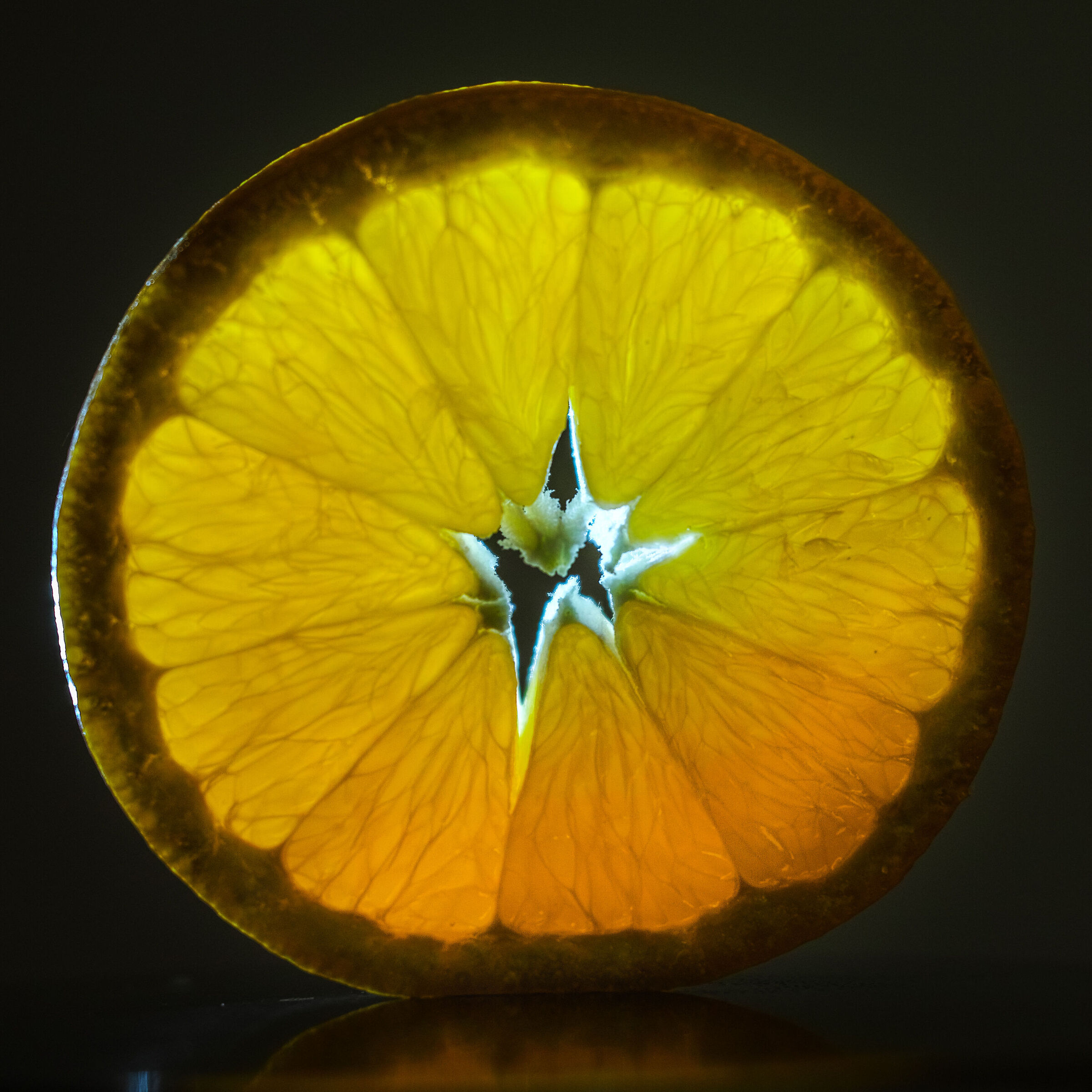 Orange Slice