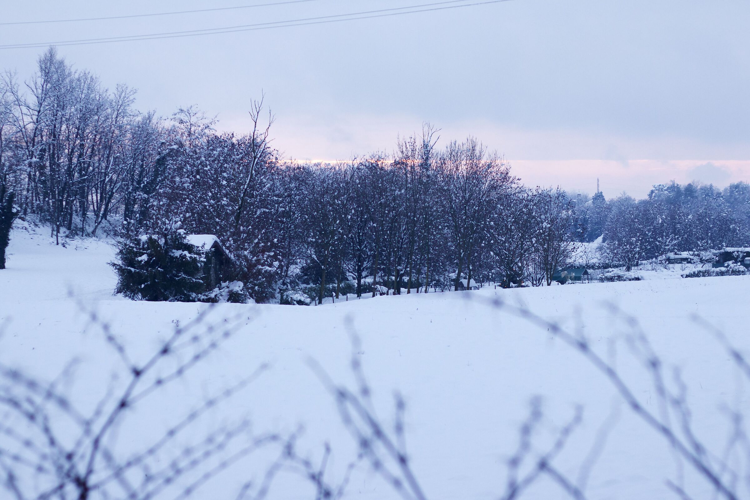Neve