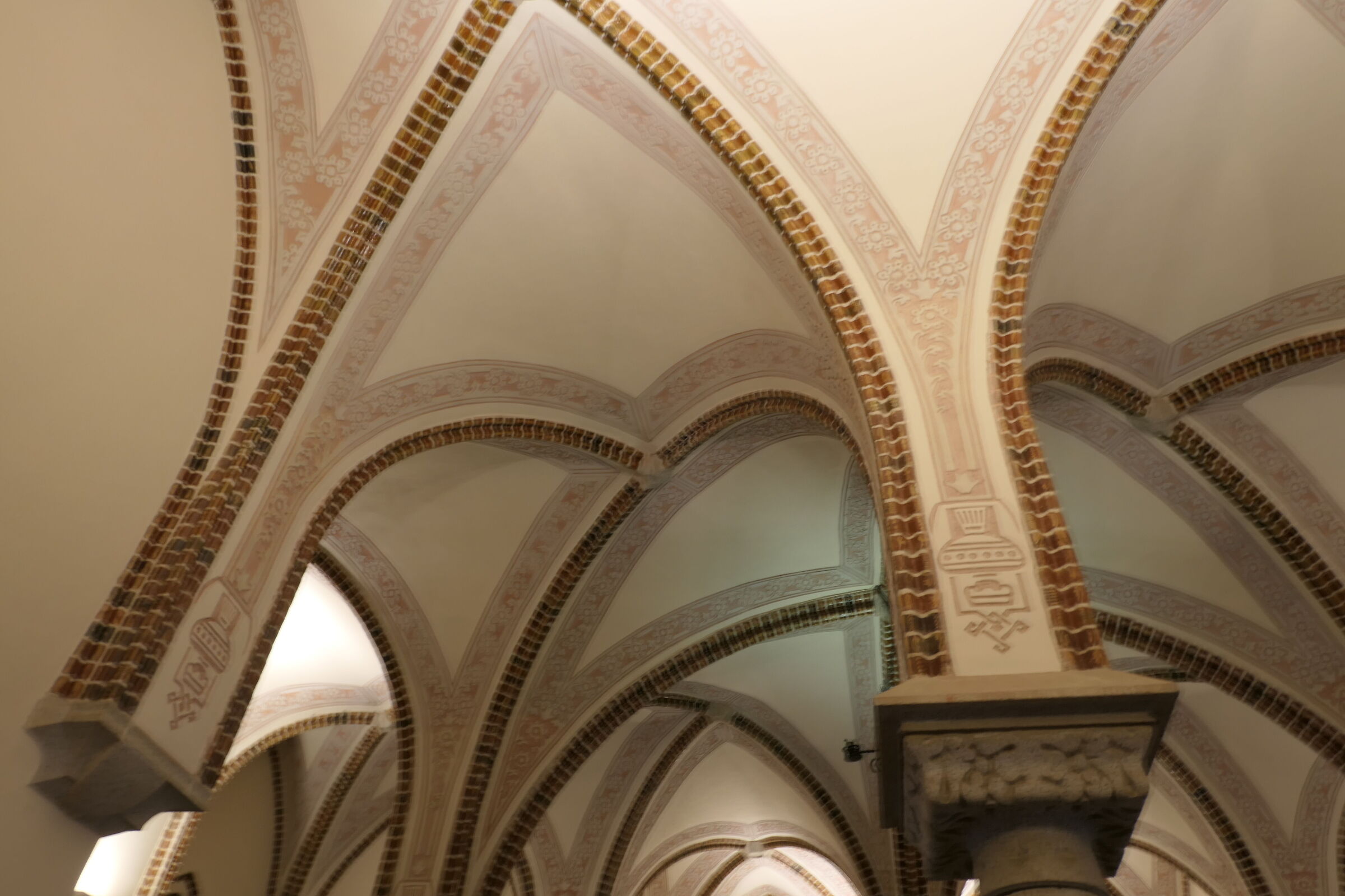 il cammino di santiago