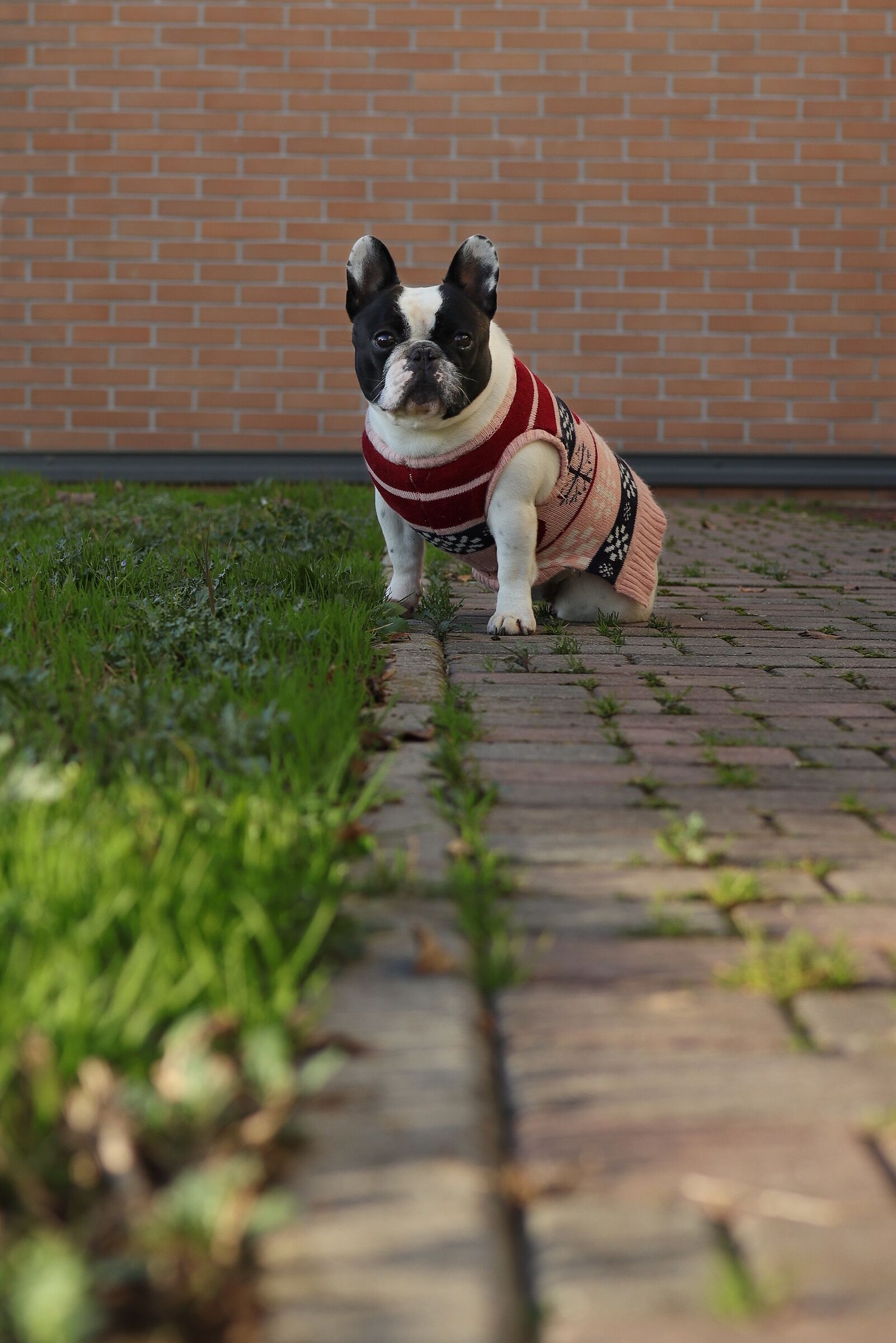 I'm going to wait for you...