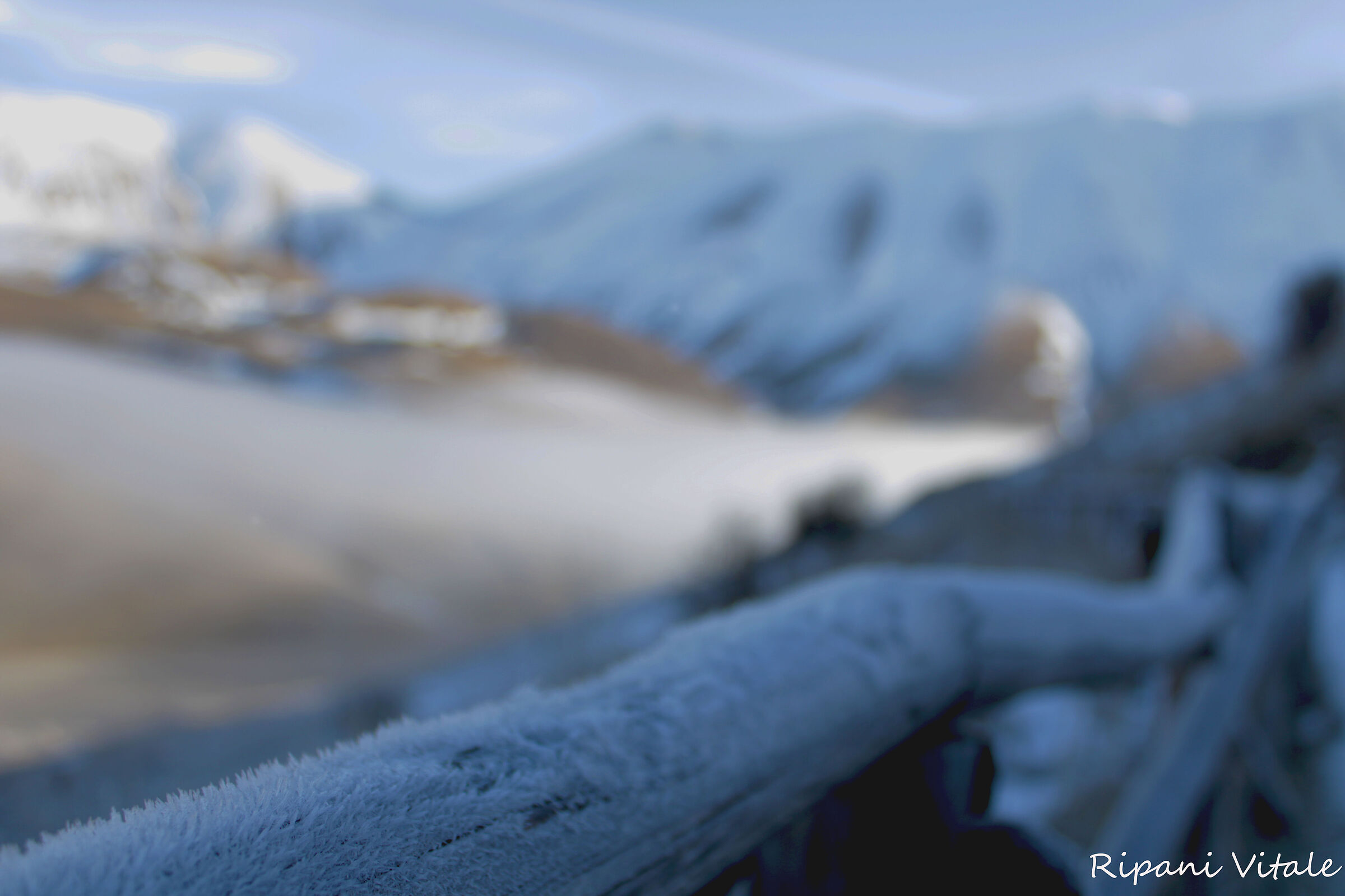 Castelluccio Dicembre
