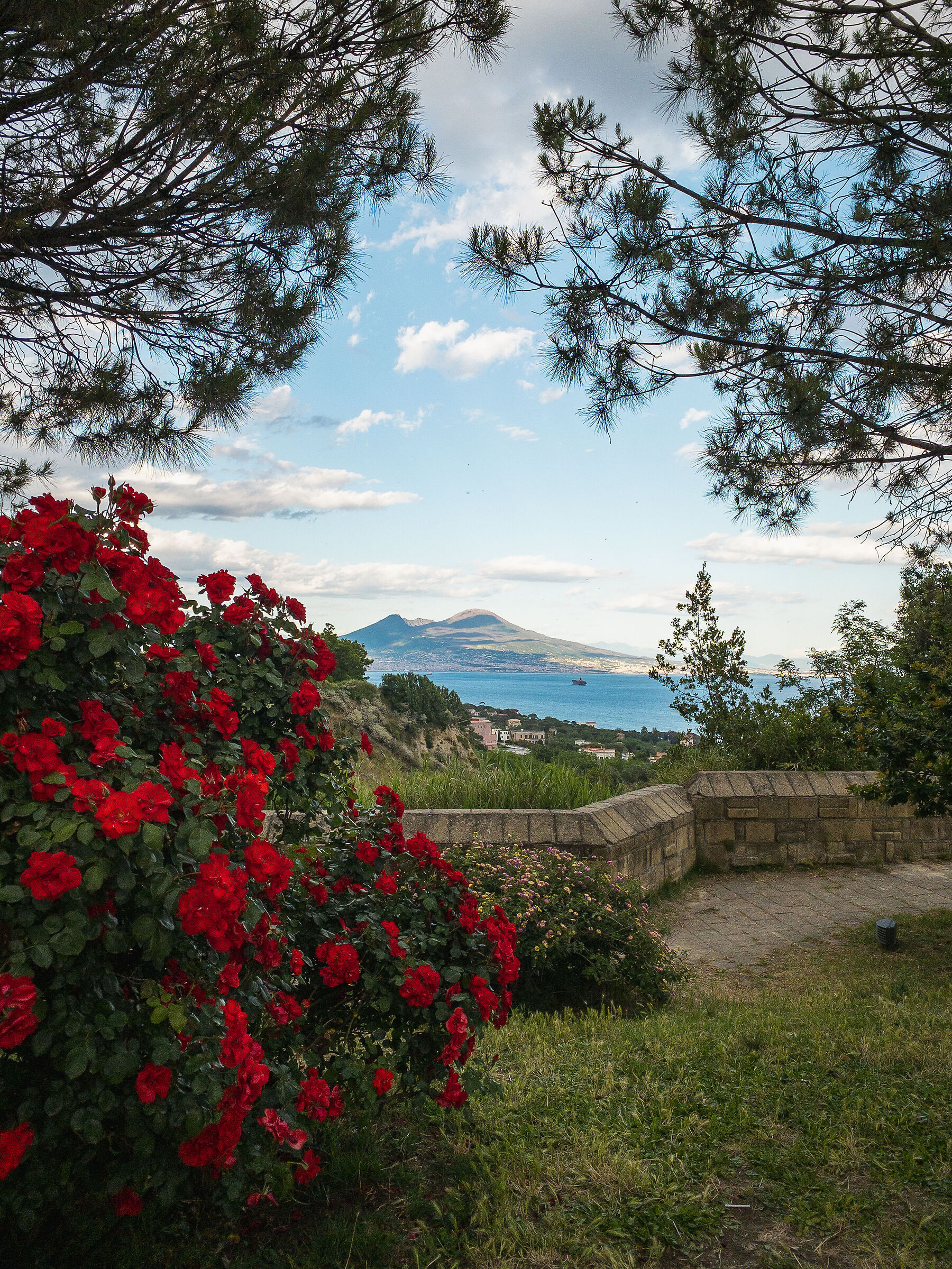 Vesuvius from virgilian park