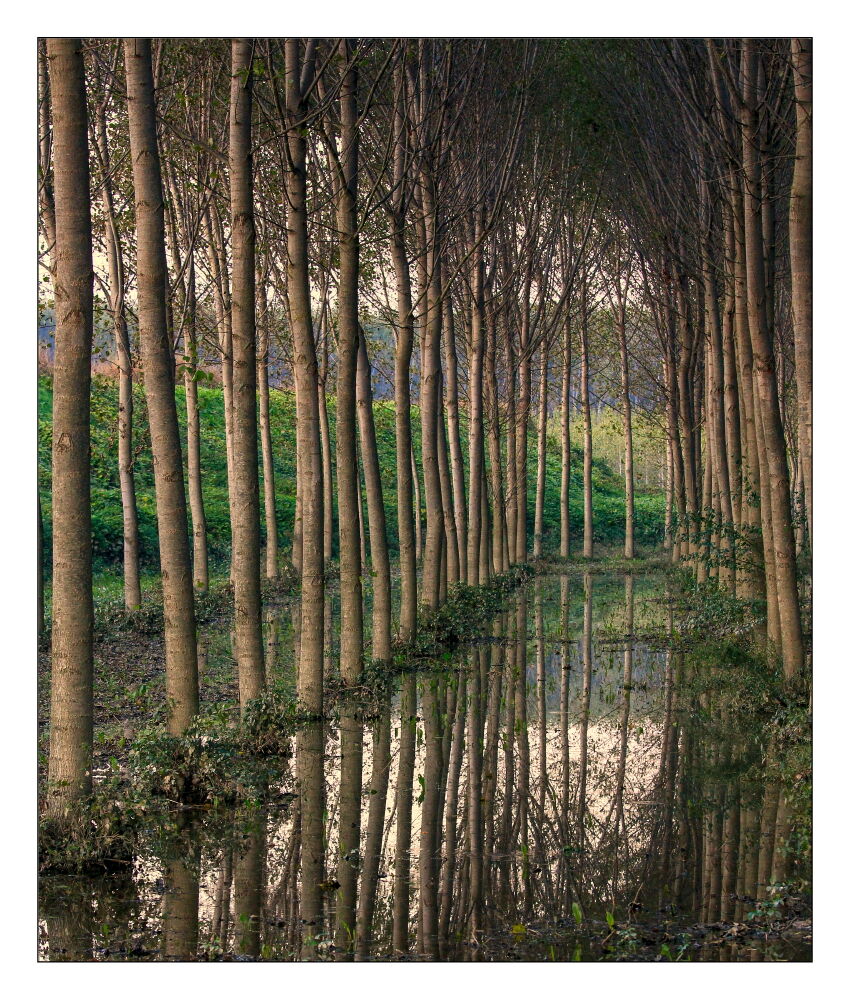 Là dove scorre il Grande Fiume 2020_01