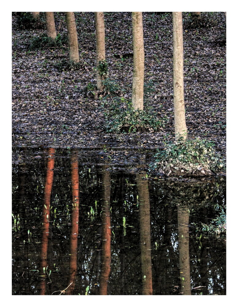 Là dove scorre il Grande Fiume 2020_02