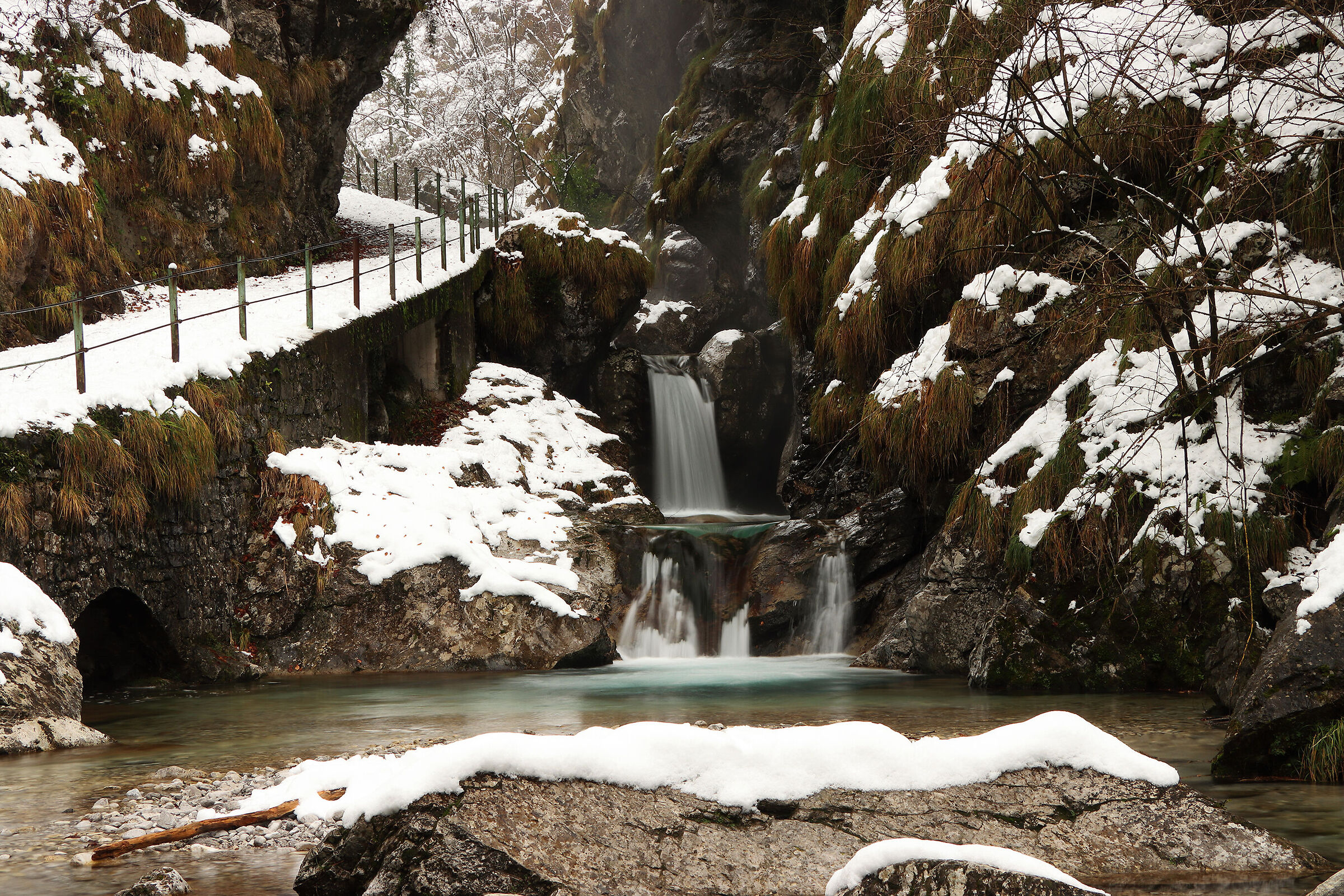 Valvertova invernale
