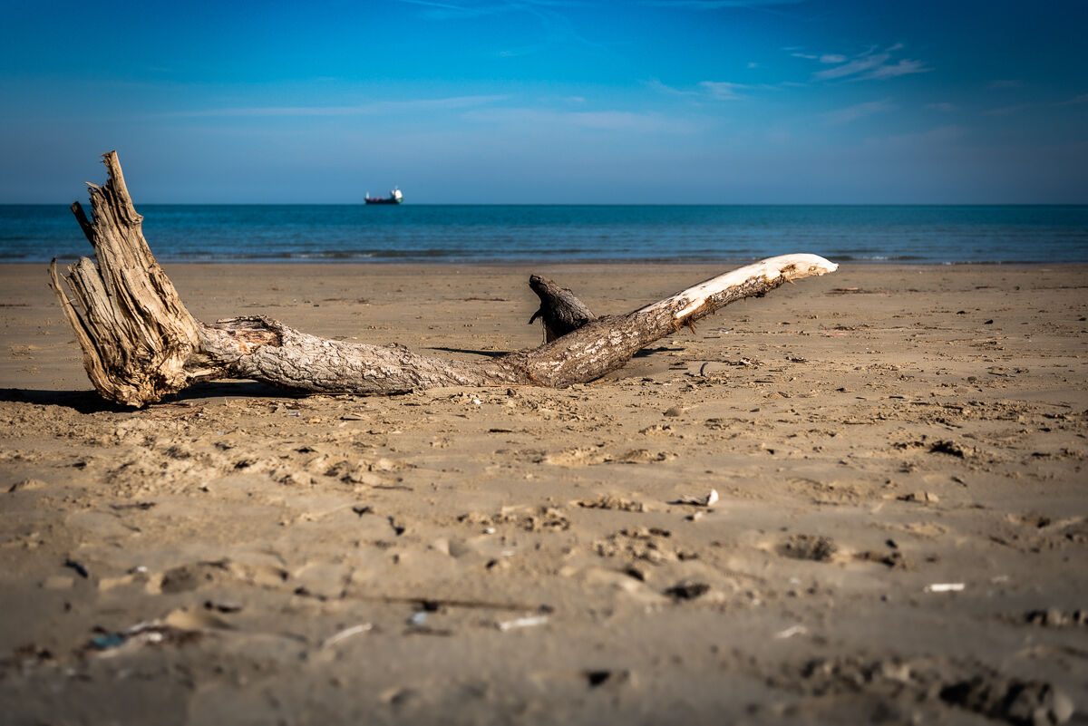 Beaches