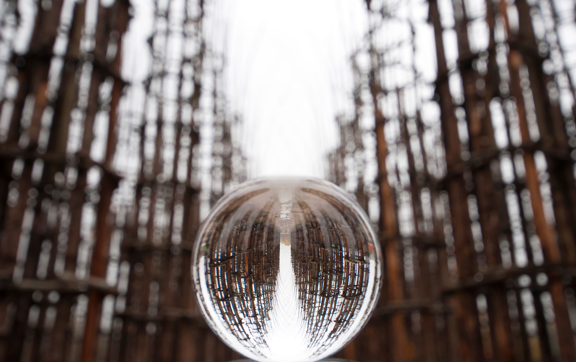 Cattedrale Vegetale Lodi