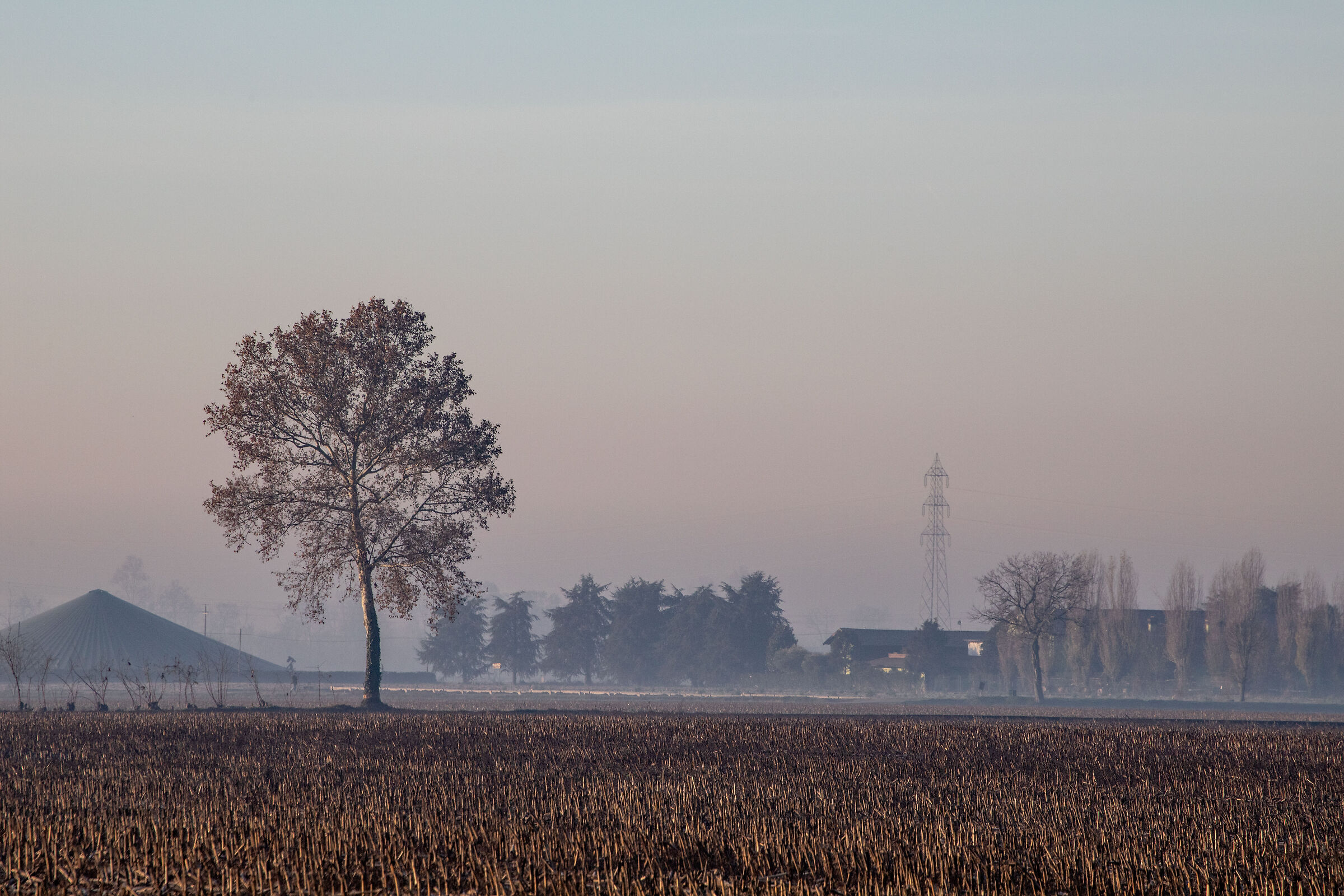 winter countryside