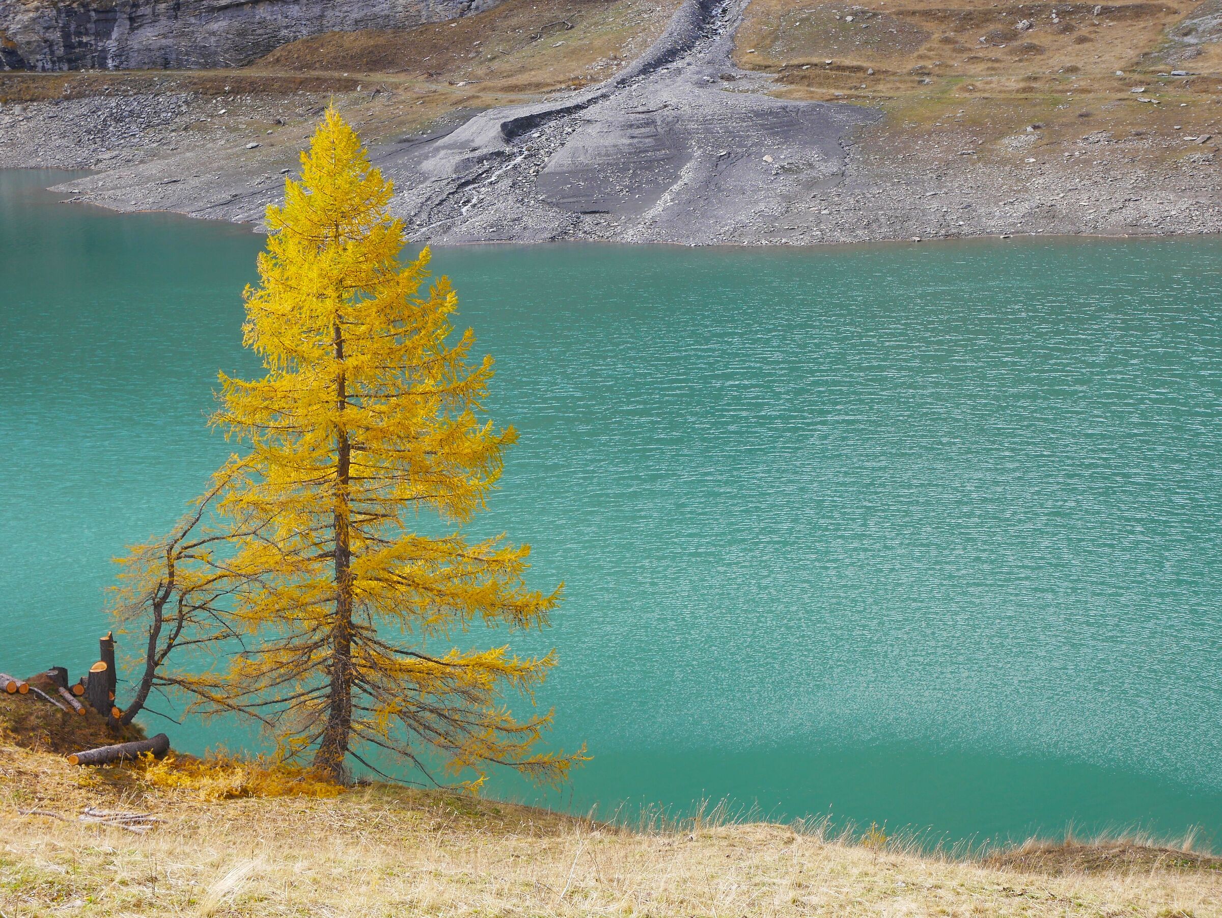 Autunno a Rochemolles