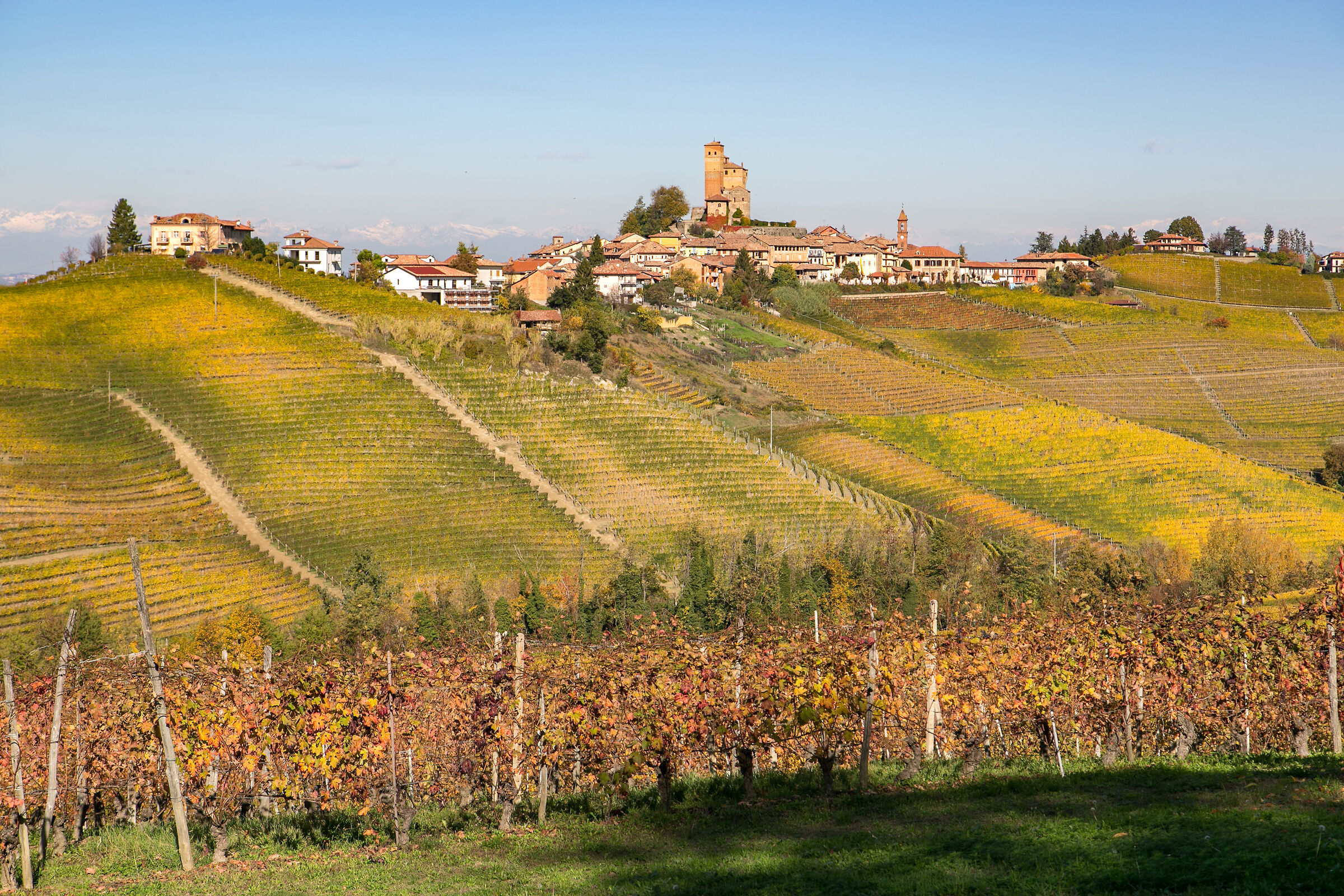 COLOURS IN THE LANGHE
