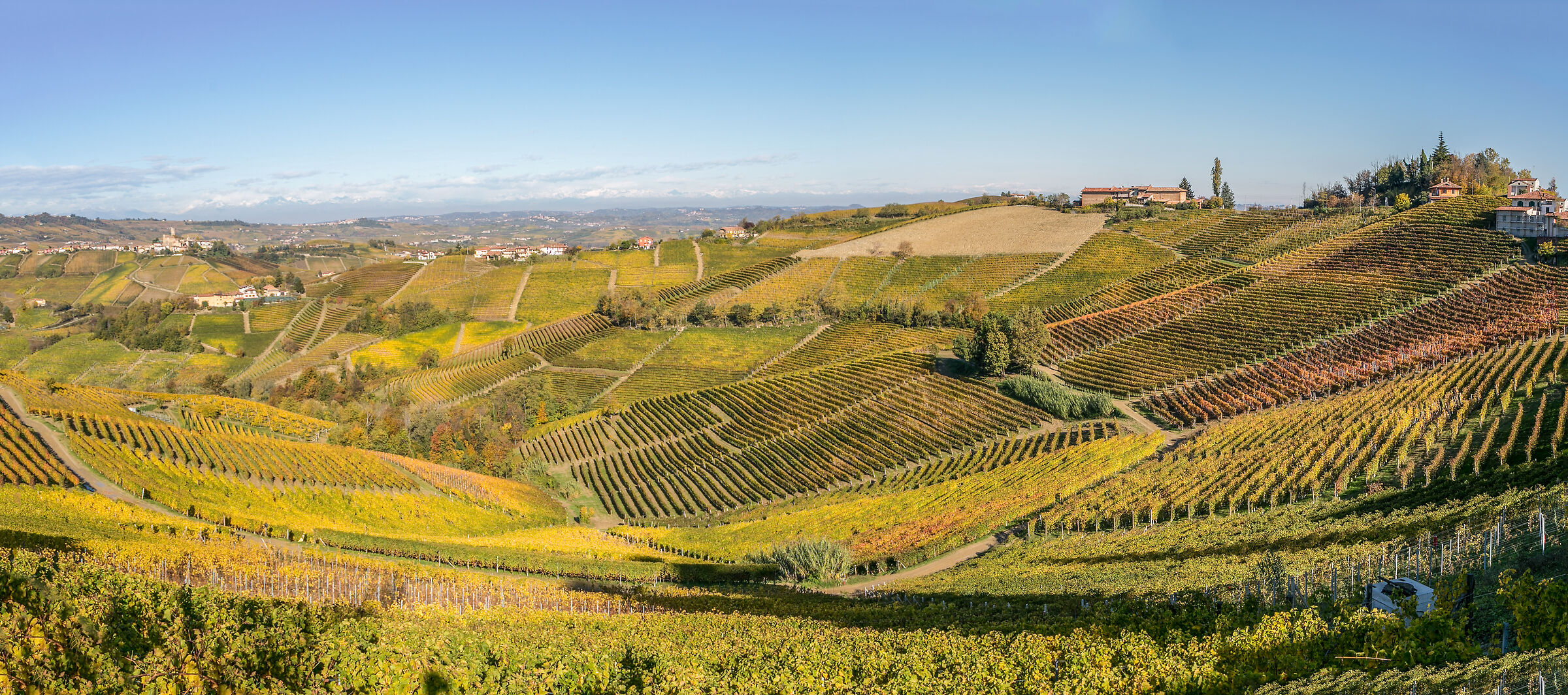 COLOURS IN THE LANGHE