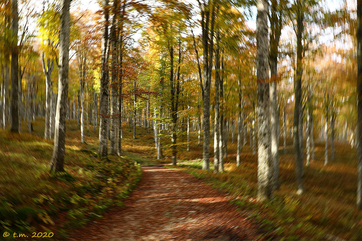 Impressione autunnale