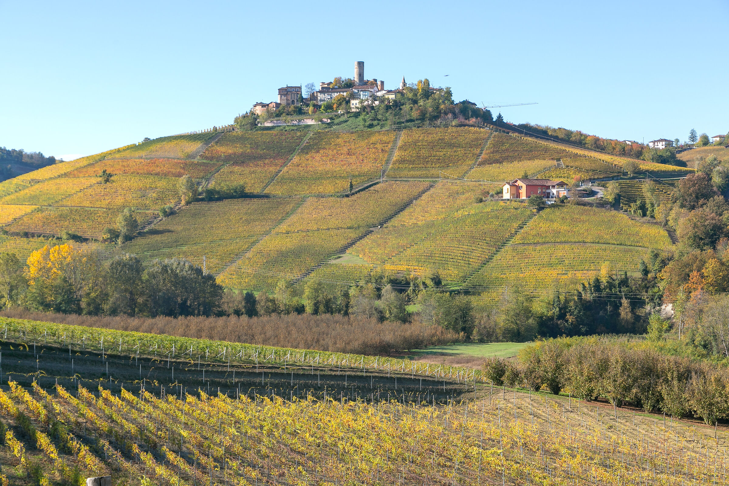 COLOURS IN THE LANGHE
