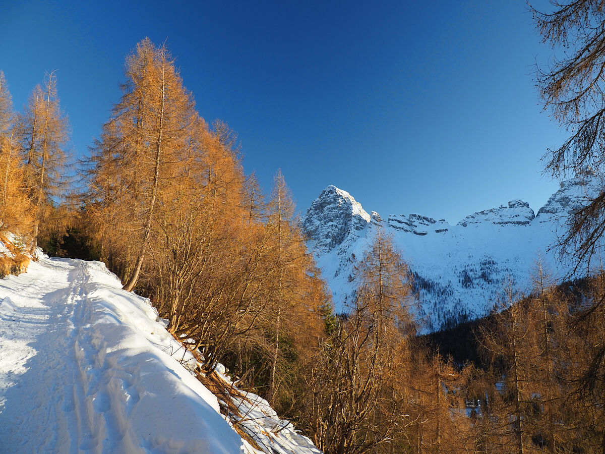 Between white and gold