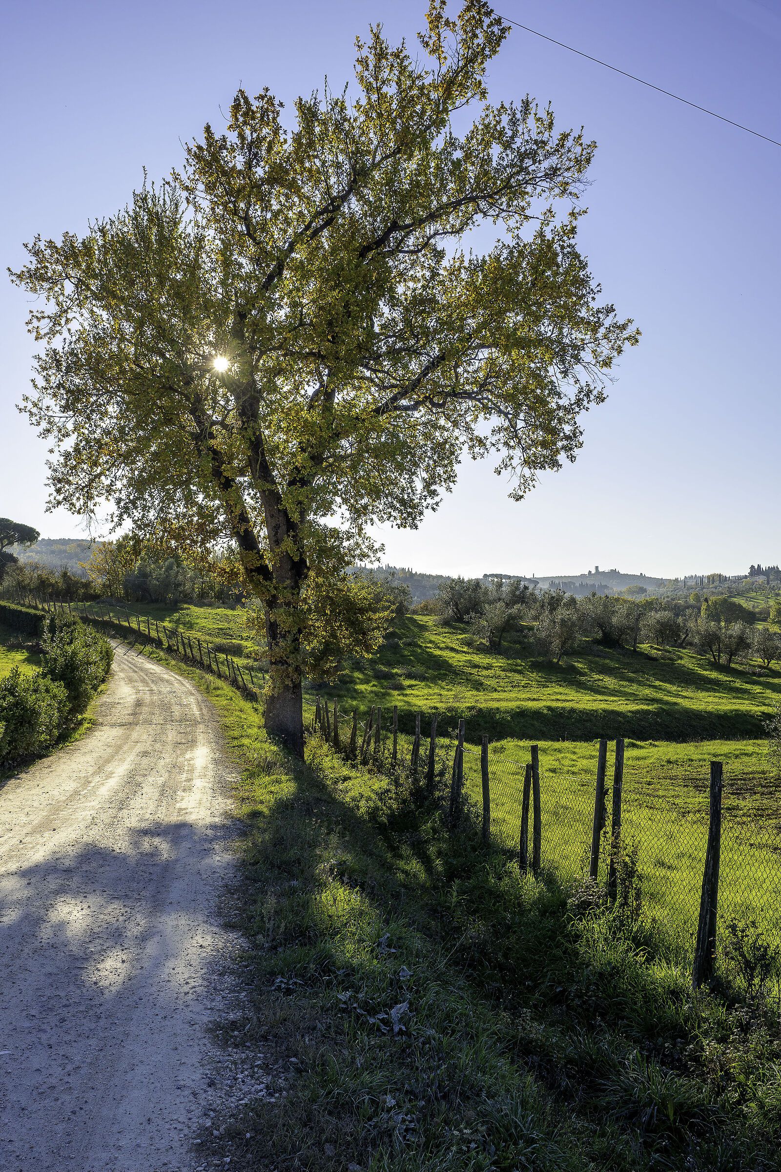 Passeggiata dietro casa