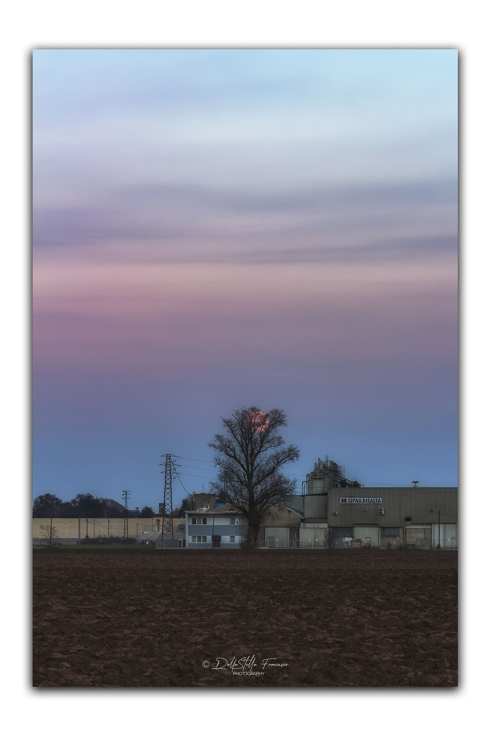 Plenilunium of the beaver