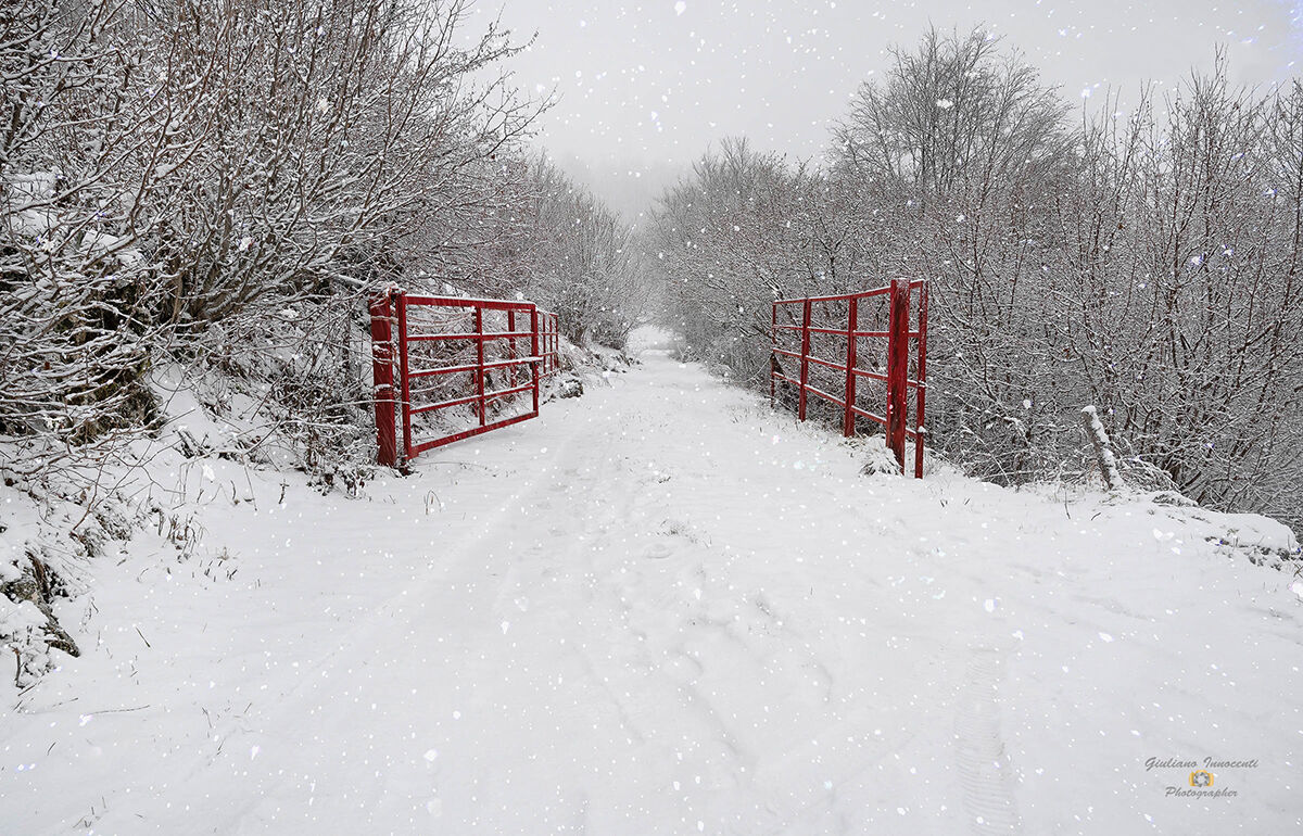 openness to life and adversity