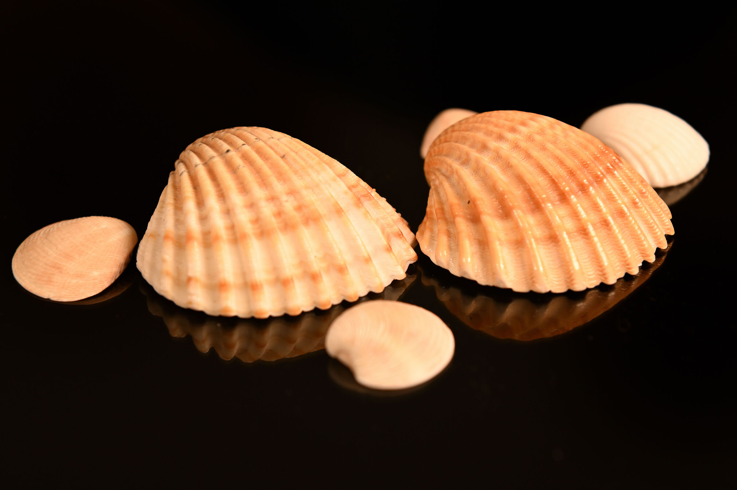 Memories of the sea...