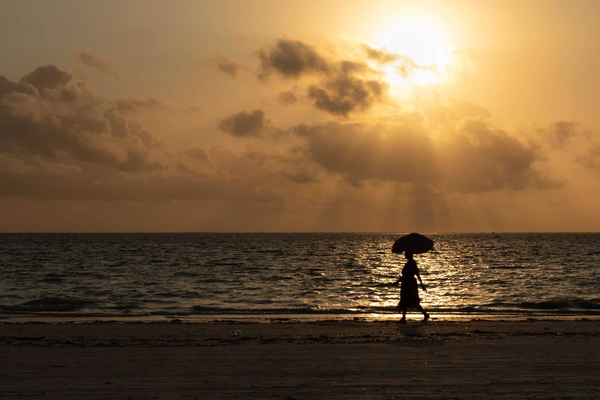 Zanzibar sunrise and seaweed harvester