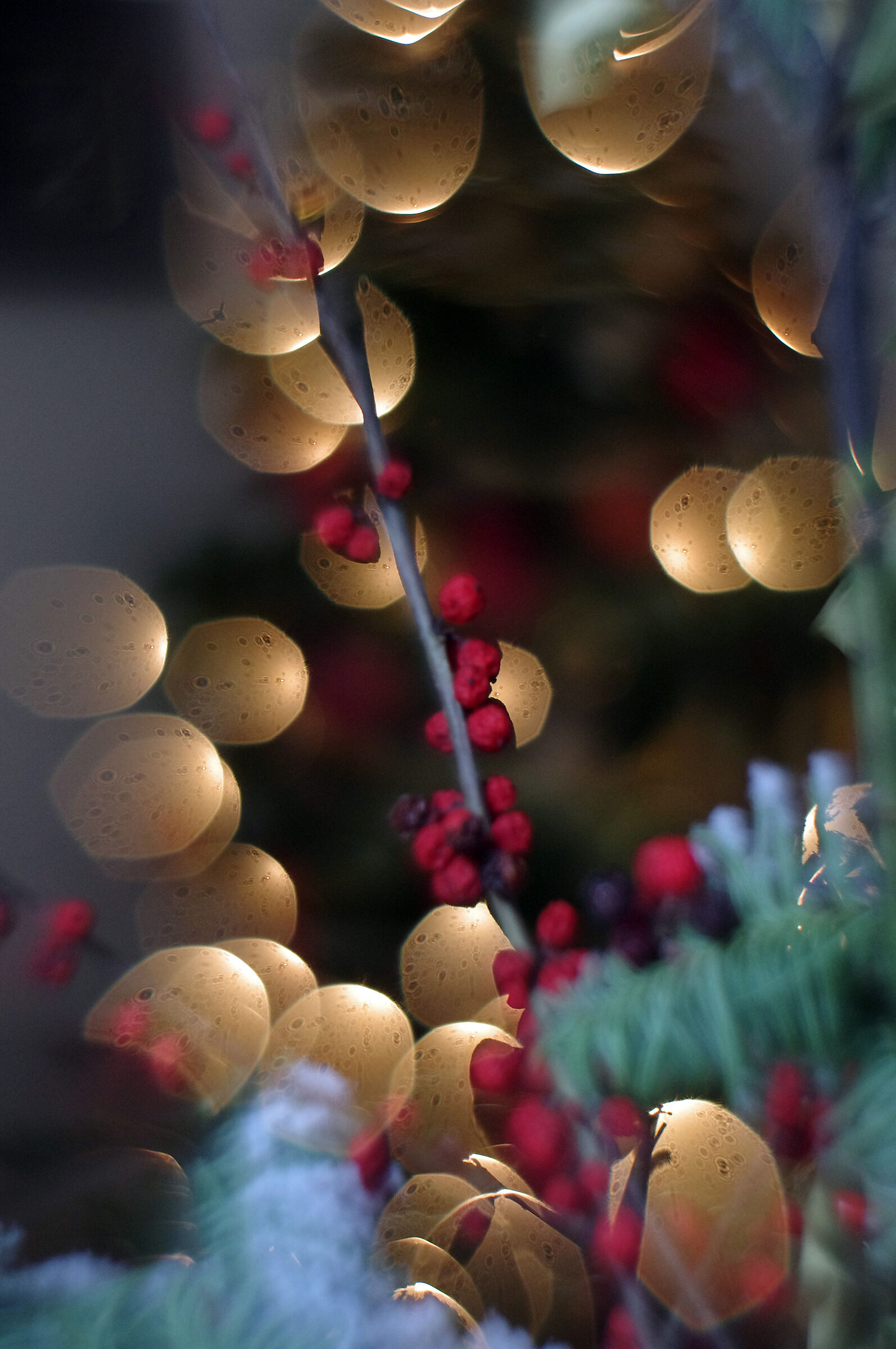 Helios 44 M-2 inverted lens - 2