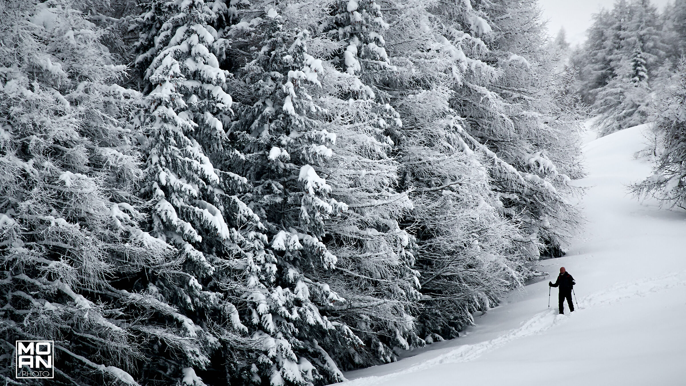 Passeggiata nella neve