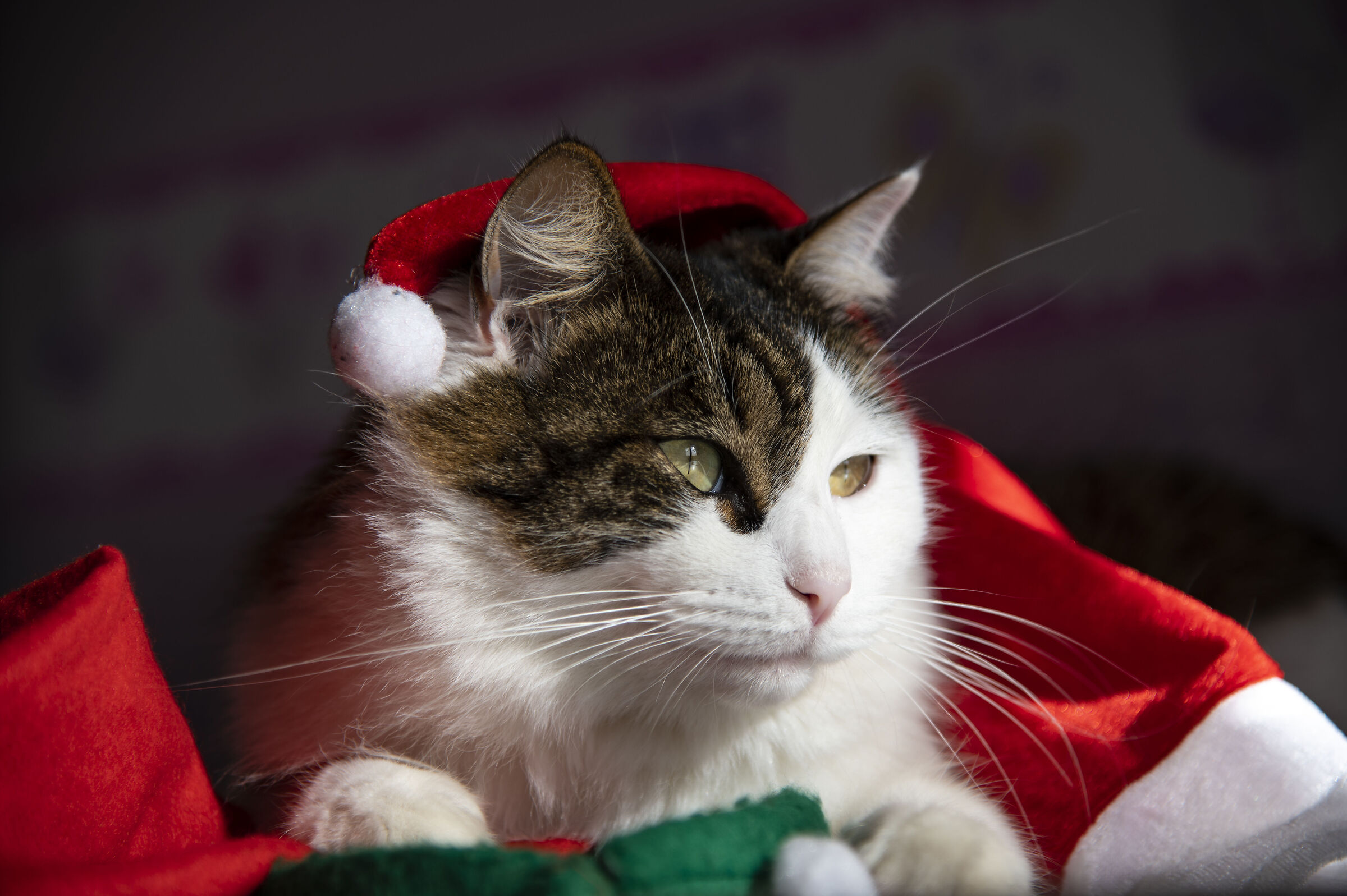 Christmas has passed