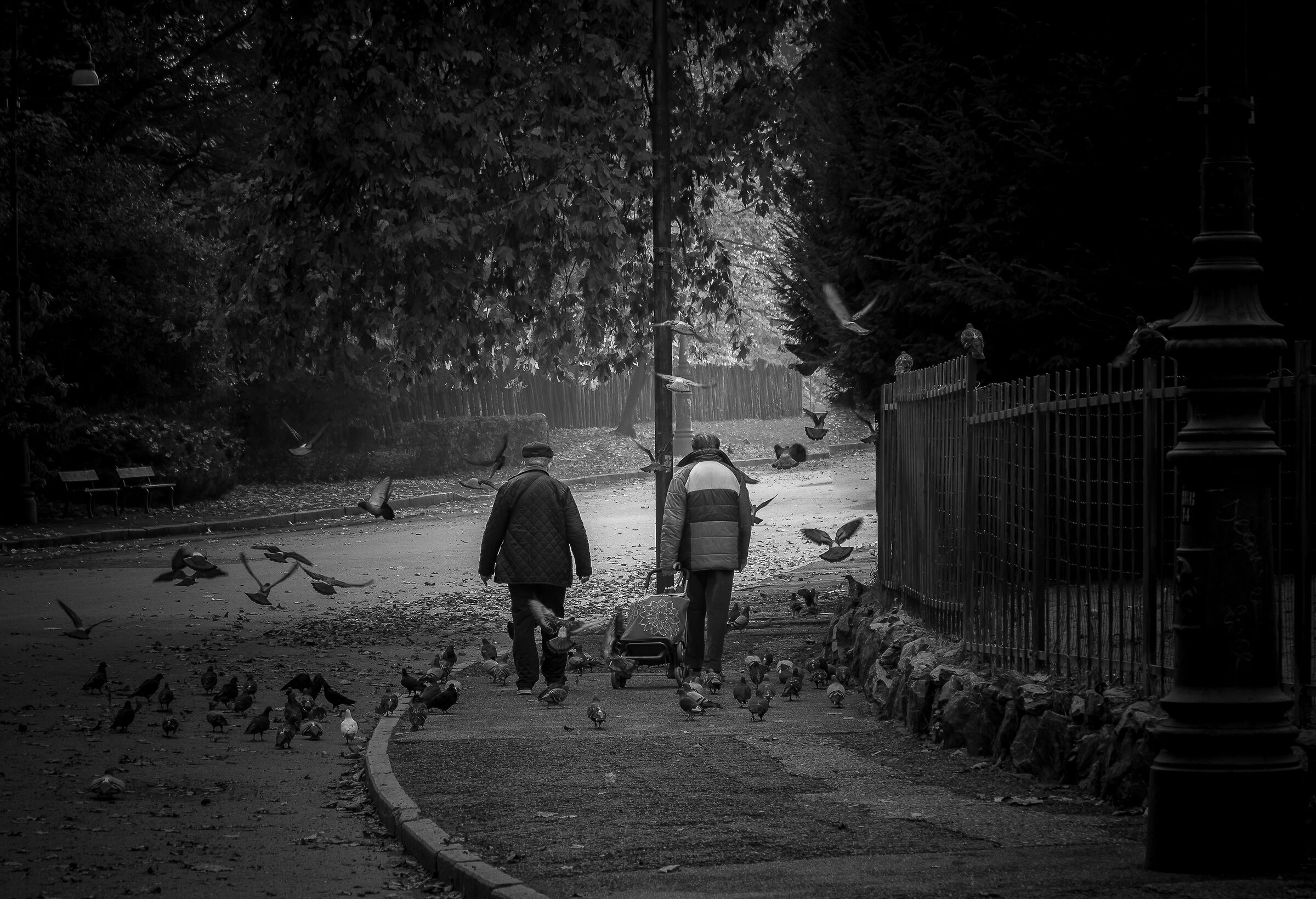 Silenziosamente.............