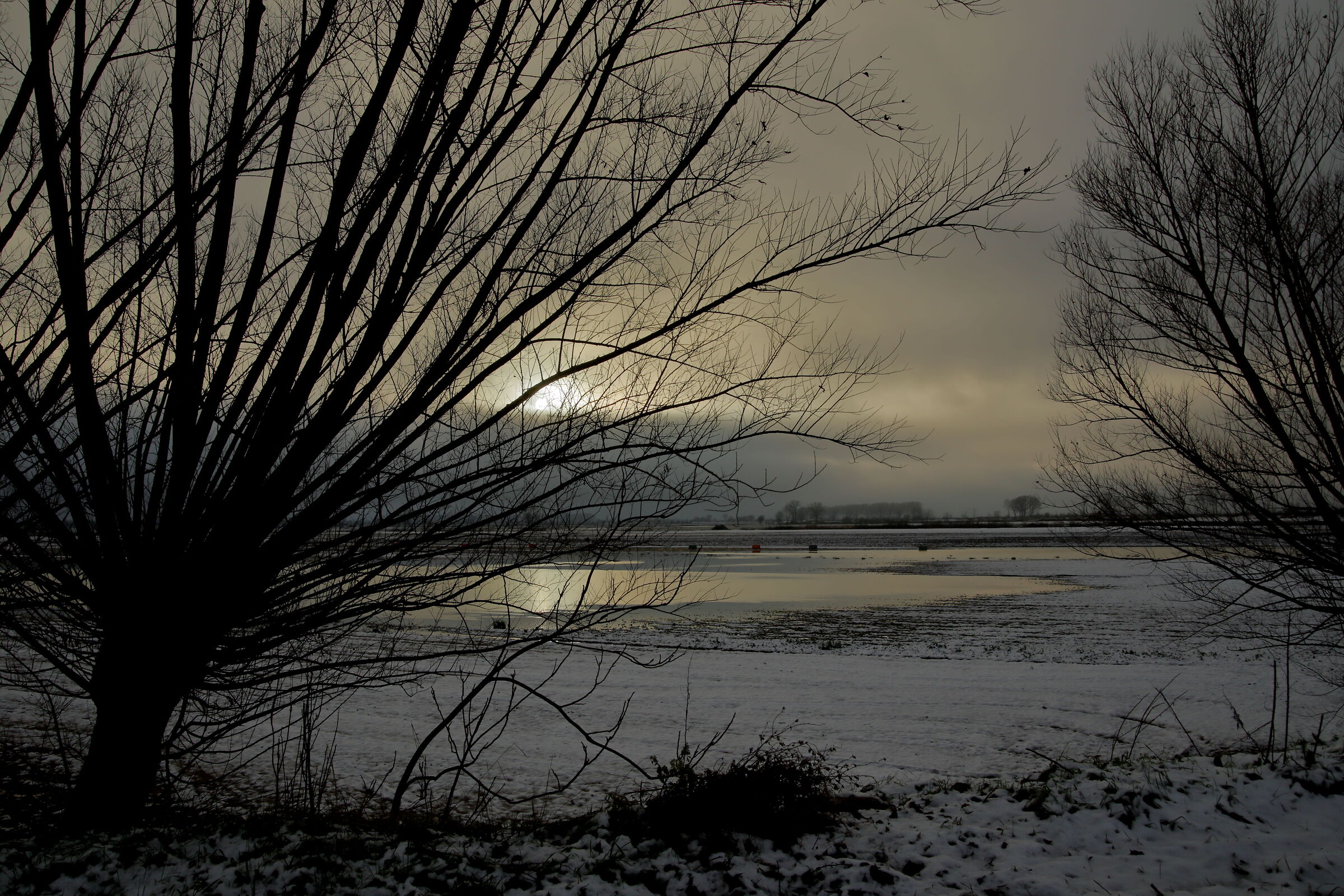 il riposo della terra