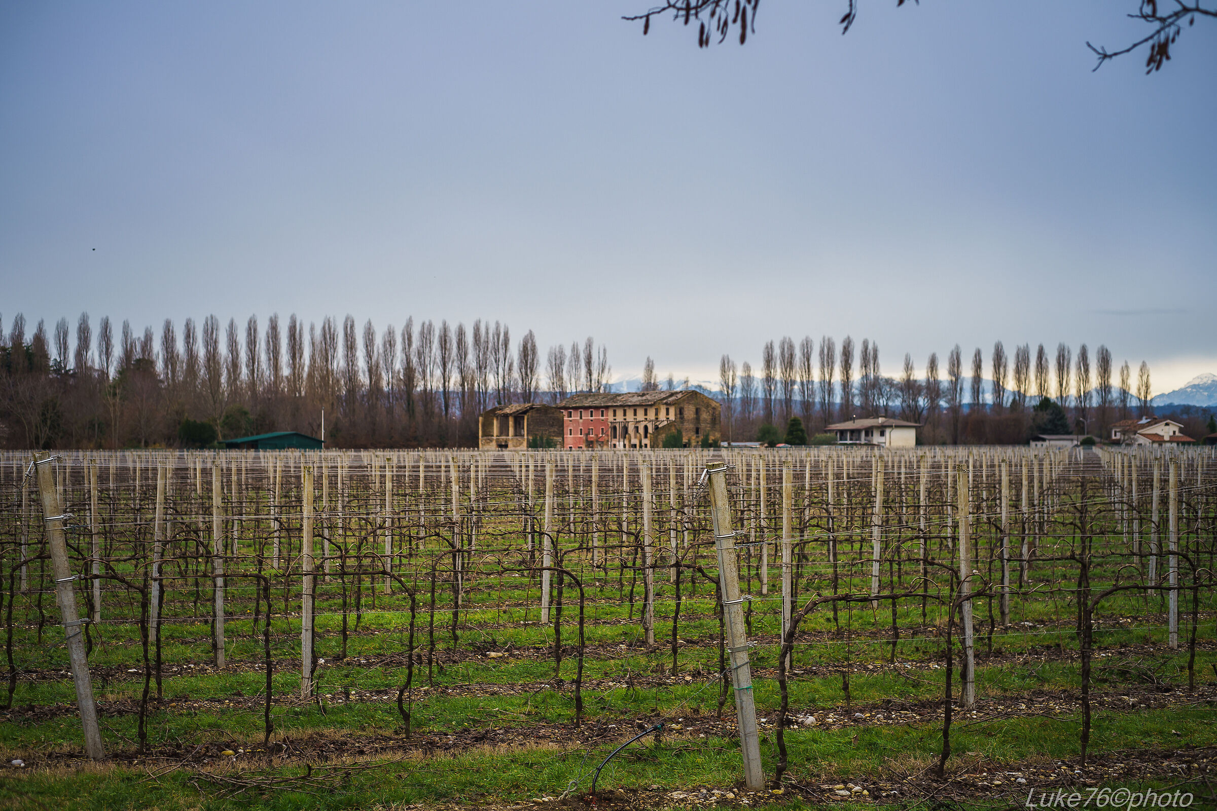 Rural landscape