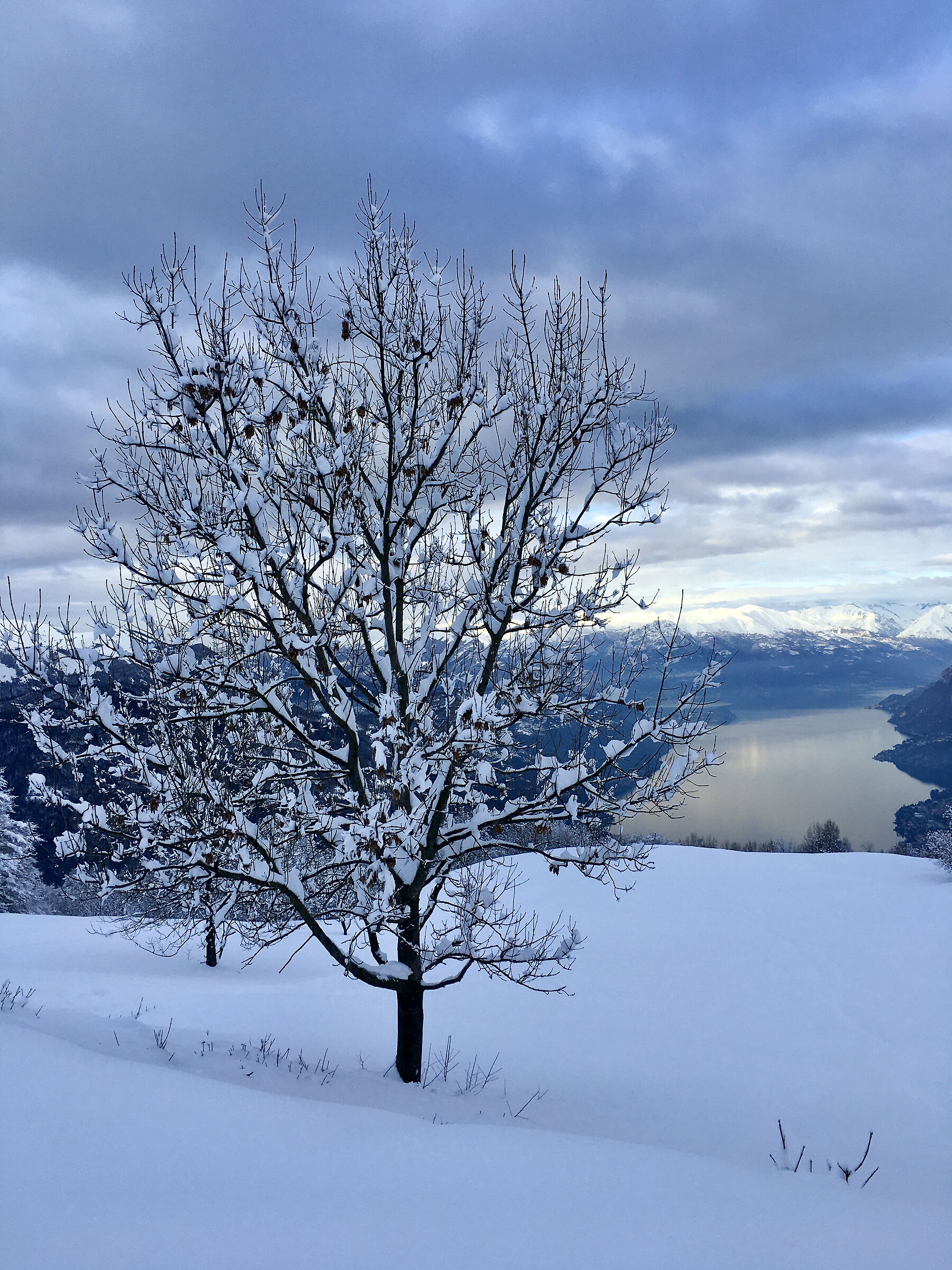 Panorama of Lake Como from Pianezzo 04/01/2021