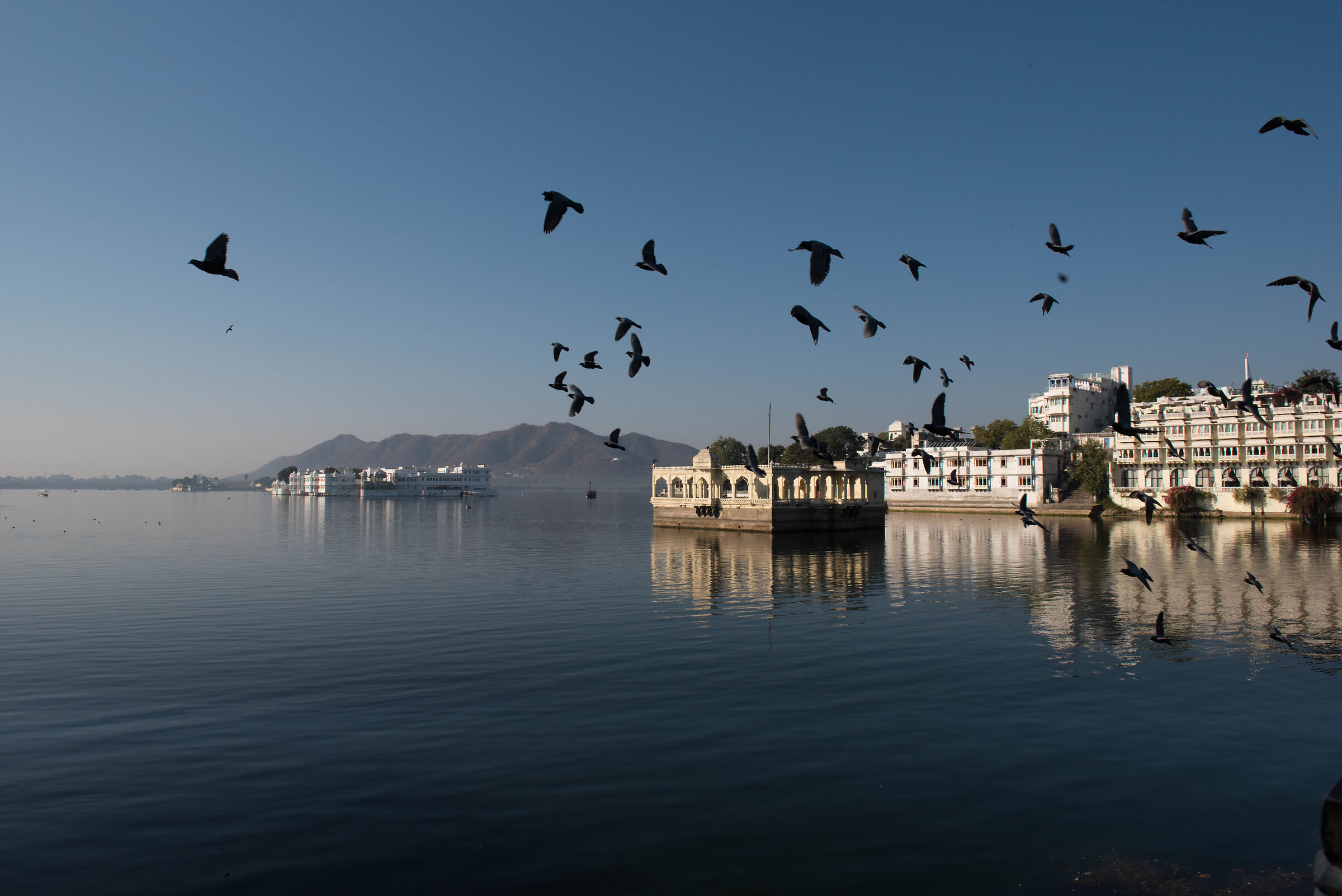 Udaipur- India