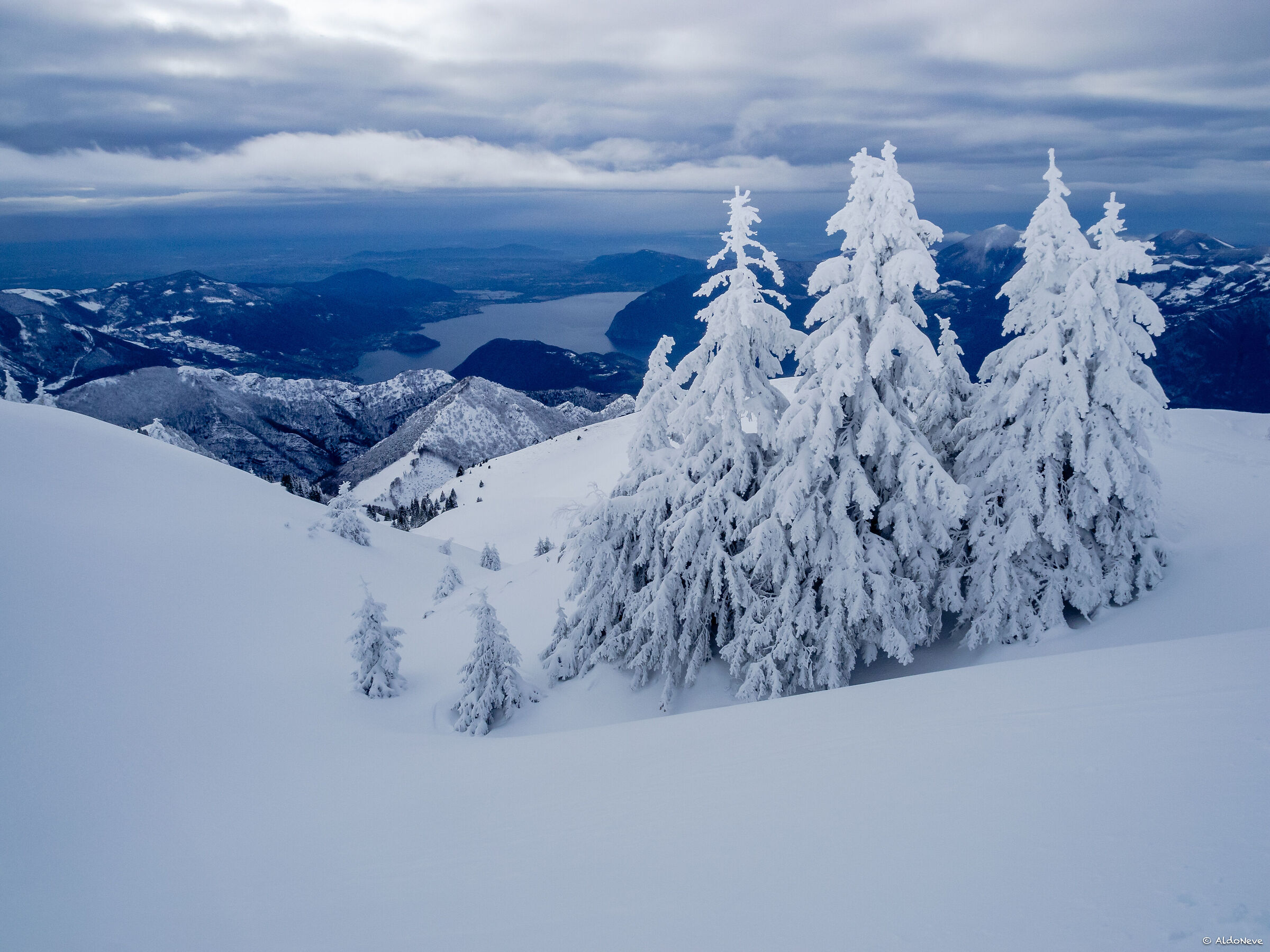 Norwegian fjords... behind the house.