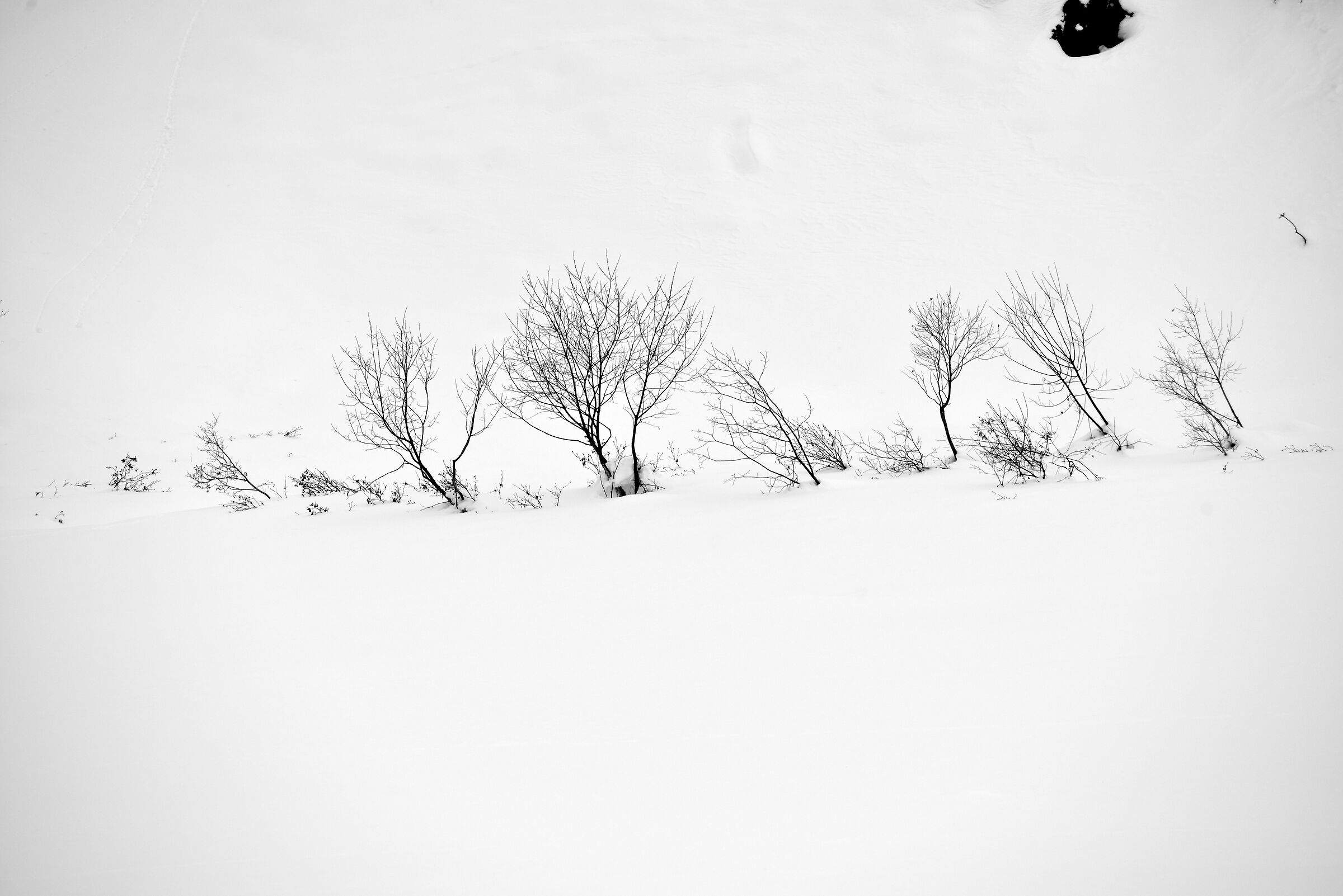 salendo dalla cascata alla diga di Morasco