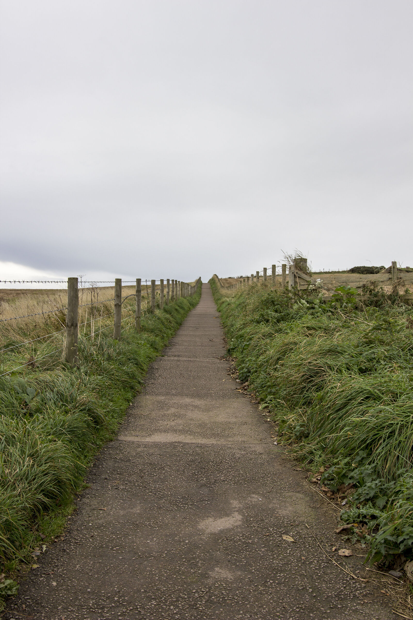 Verso Dunnottar castle