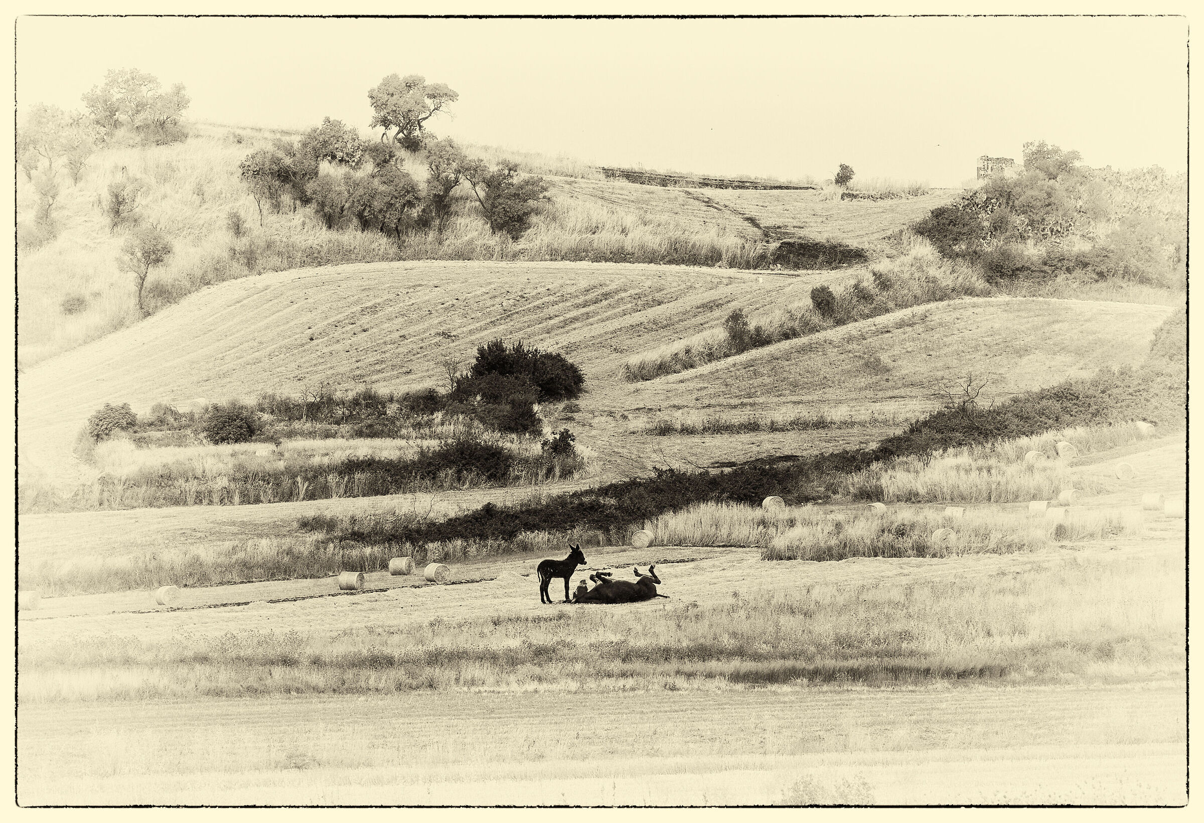Sicilia remota -3-