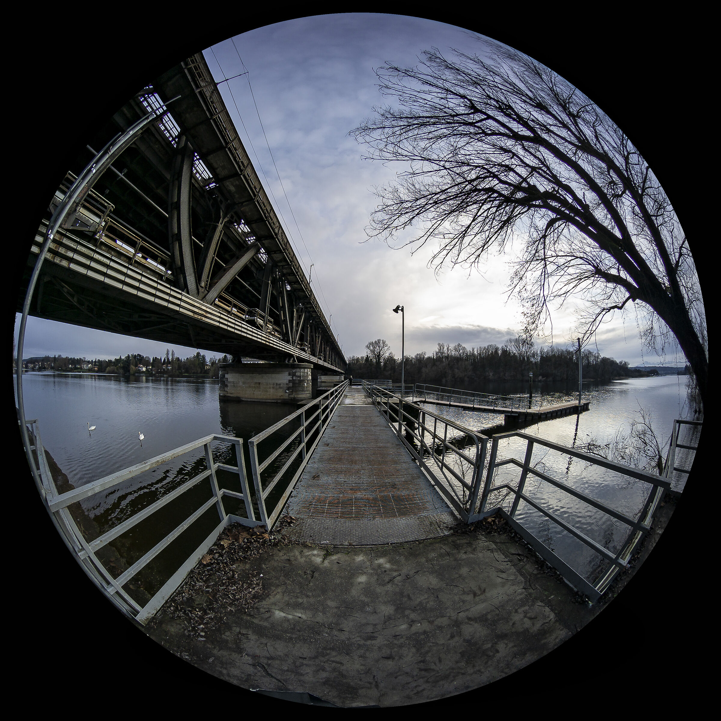 Martedì 5 gennaio 2021, 16:18:14